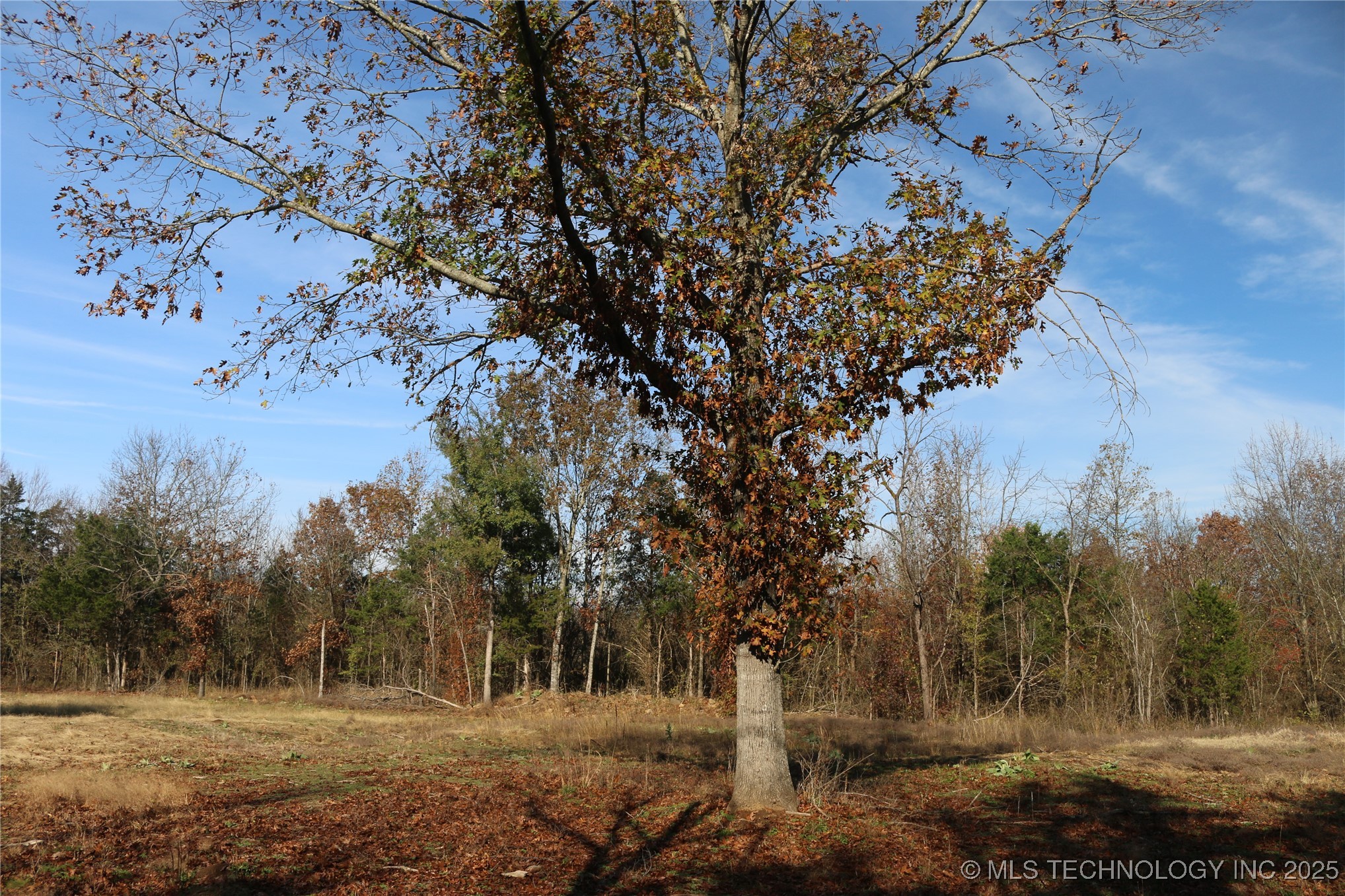 Poteau Mountain Property Photo 5