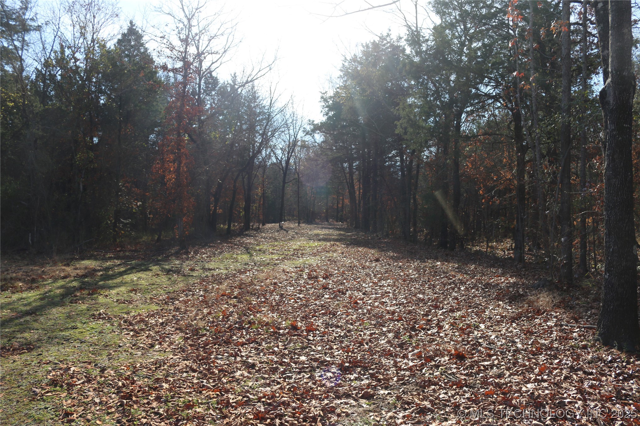 Poteau Mountain Property Photo 6