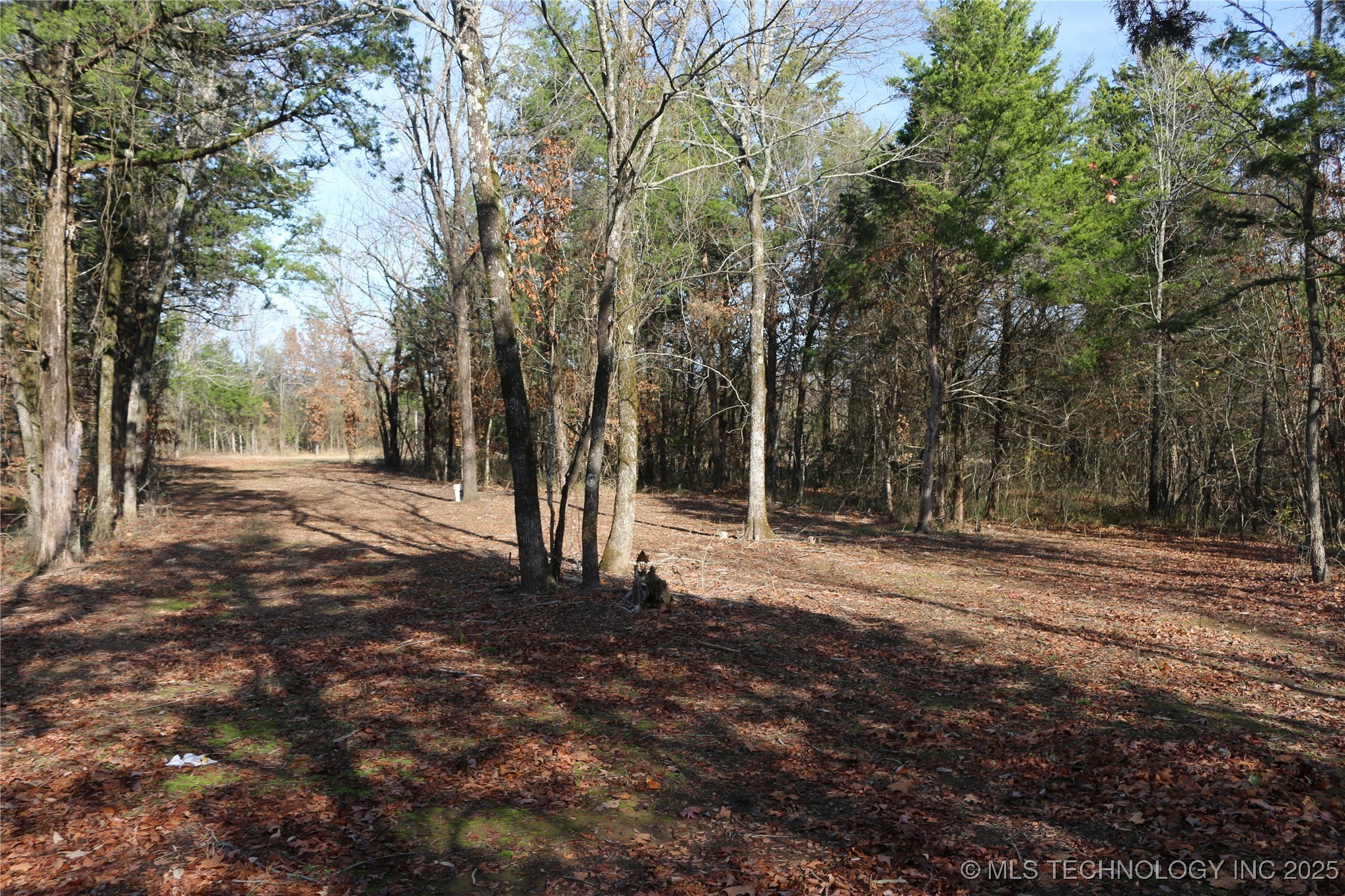 Poteau Mountain Property Photo 7
