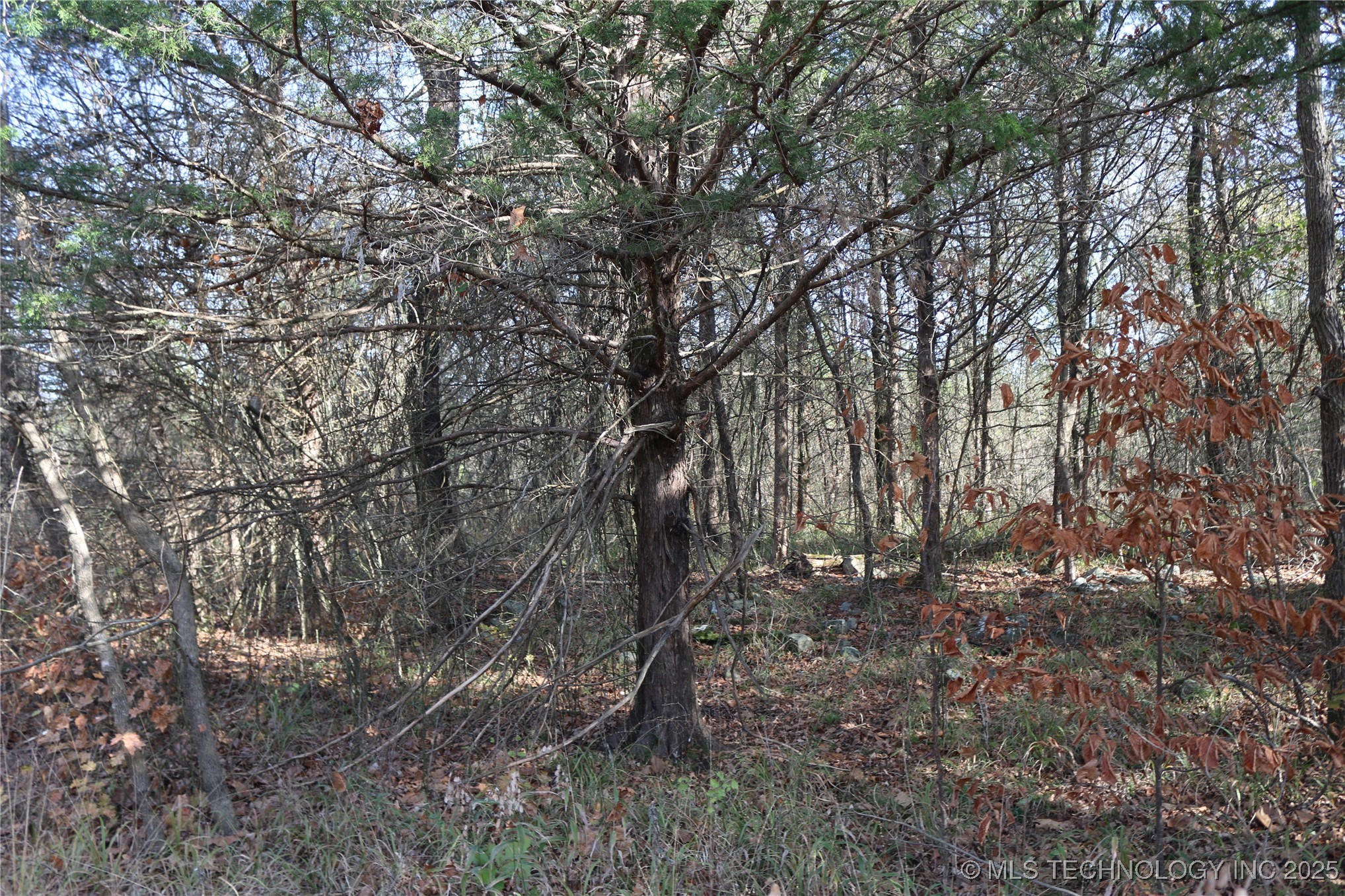 Poteau Mountain Property Photo 8