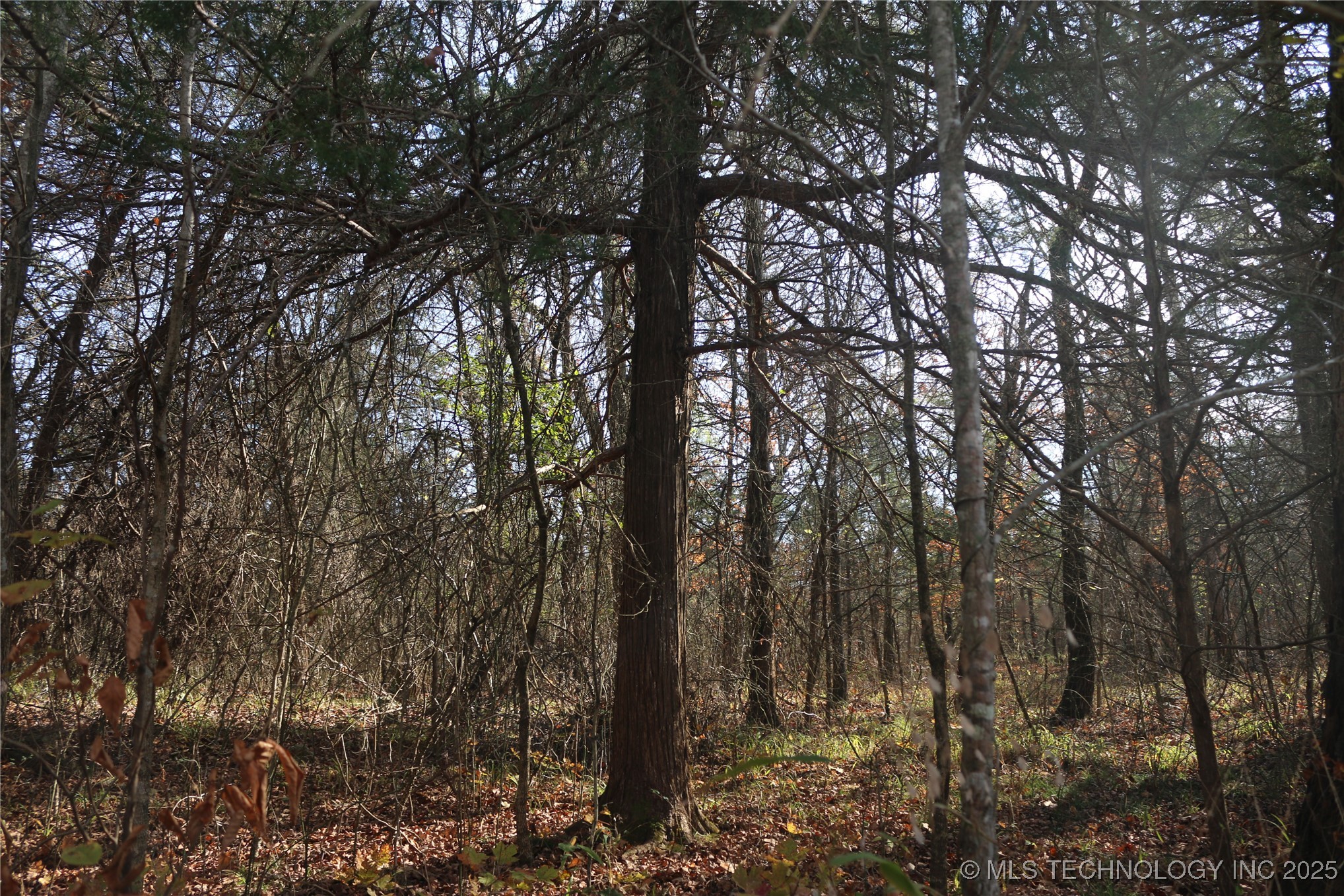 Poteau Mountain Property Photo 9