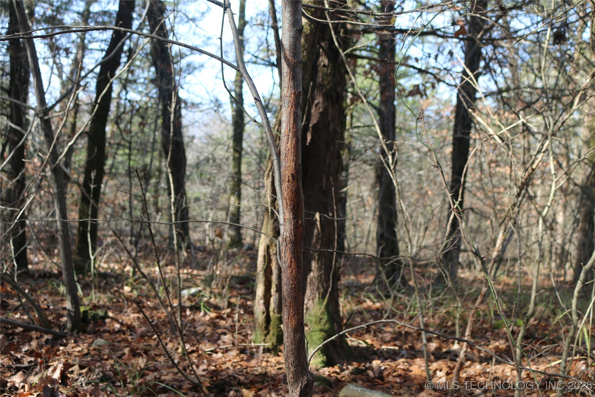 Poteau Mountain Property Photo 10