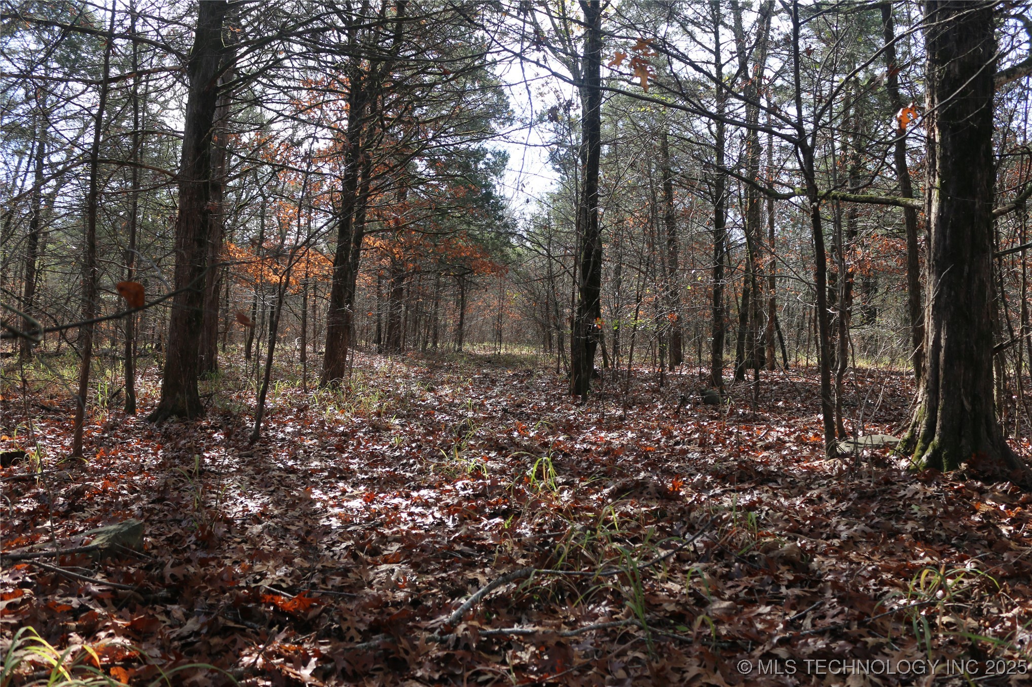 Poteau Mountain Property Photo 11