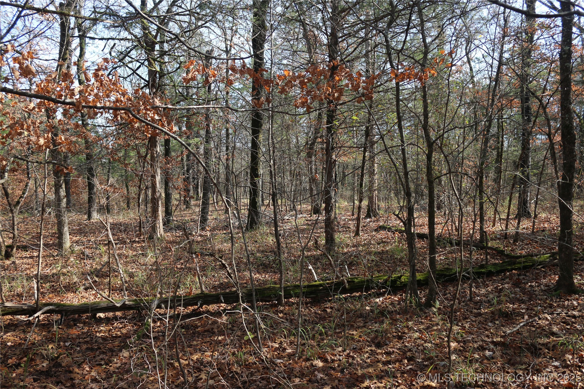 Poteau Mountain Property Photo 12