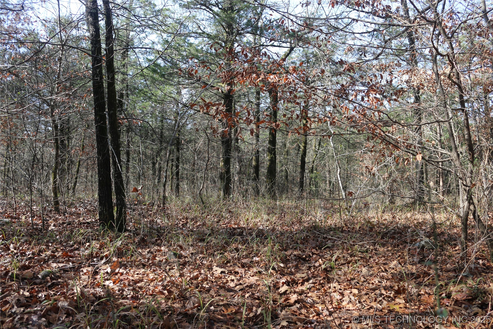 Poteau Mountain Property Photo 13