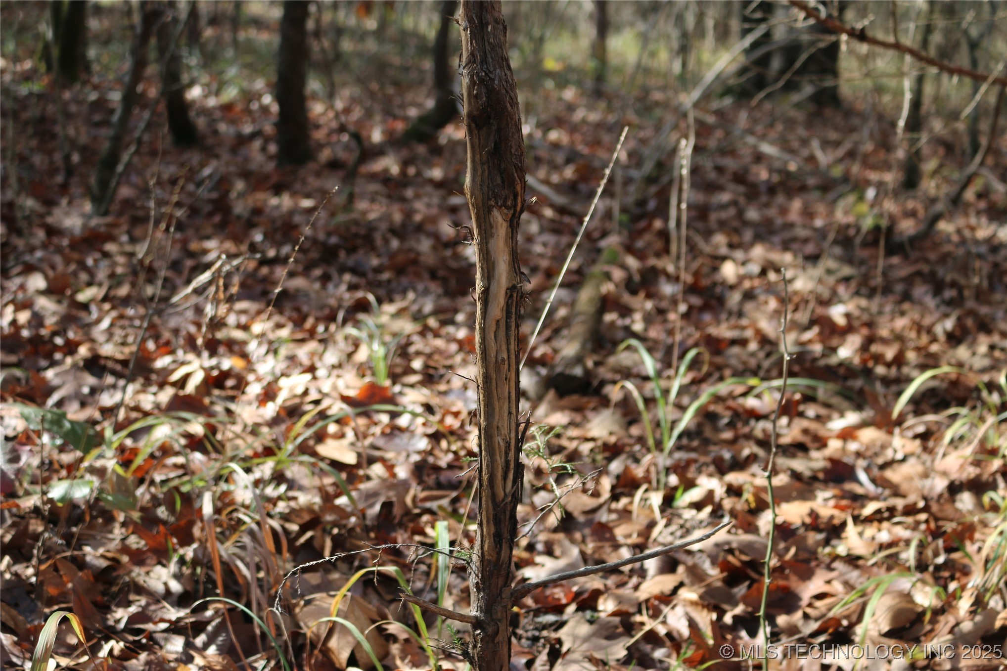 Poteau Mountain Property Photo 20