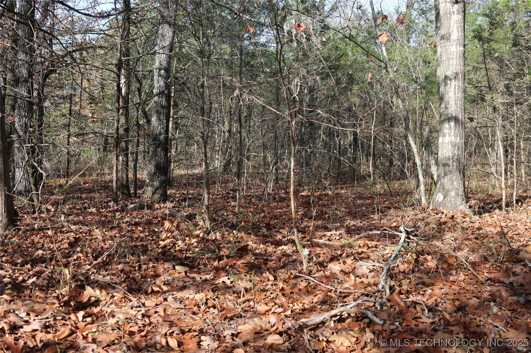 Poteau Mountain Property Photo 21