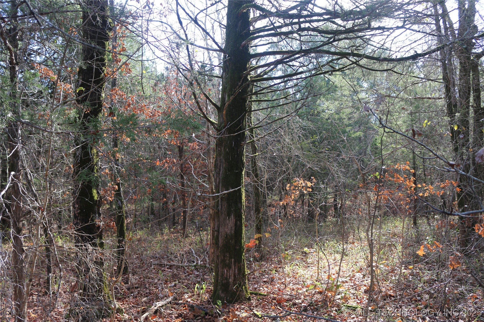Poteau Mountain Property Photo 22