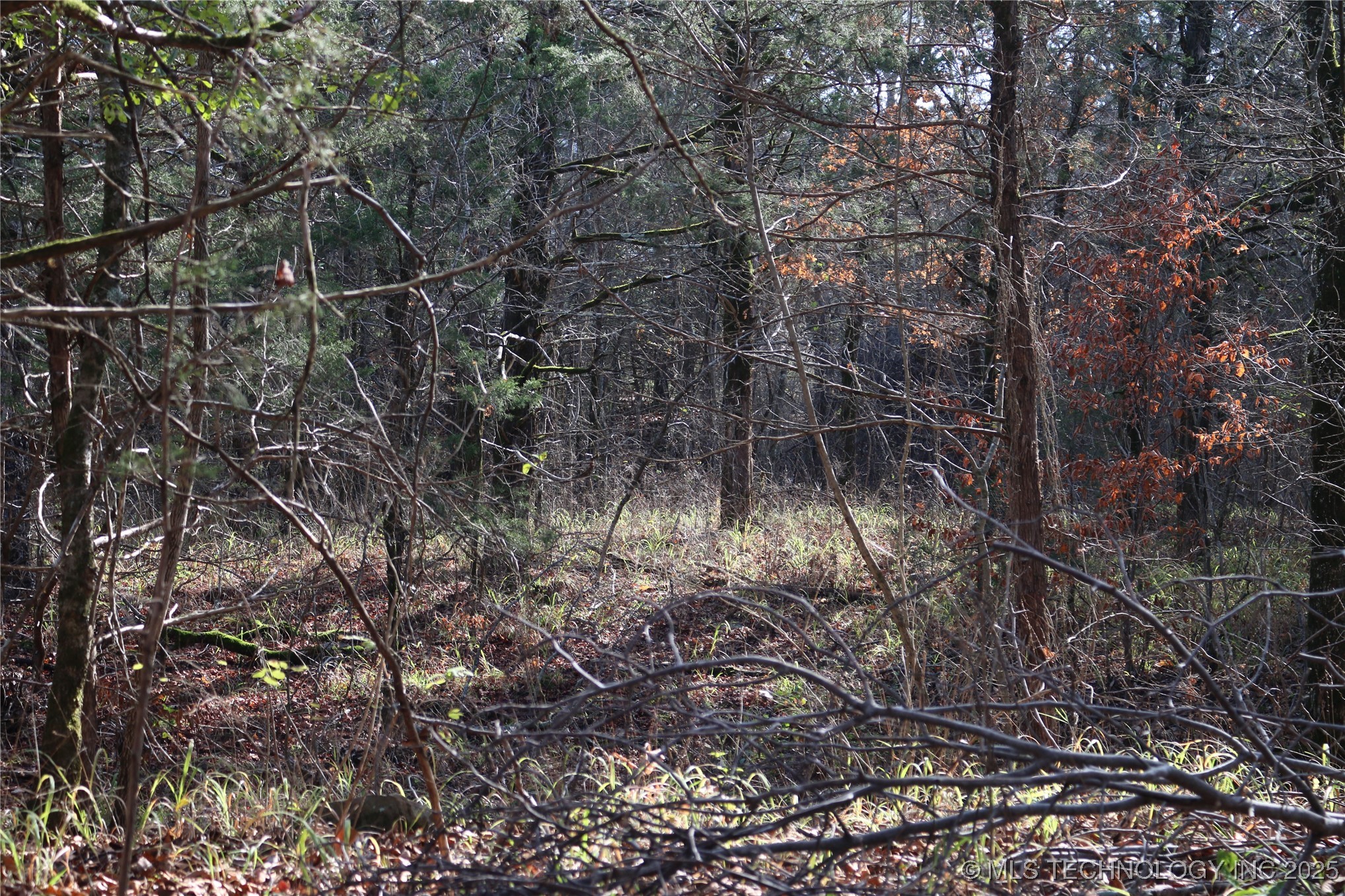 Poteau Mountain Property Photo 23