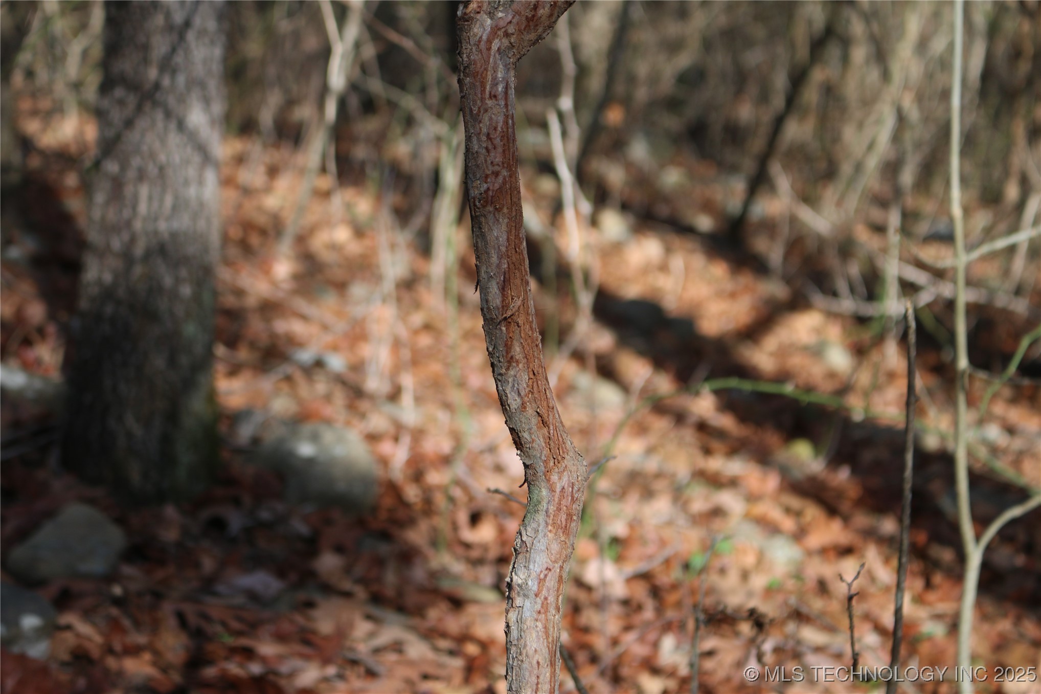 Poteau Mountain Property Photo 26