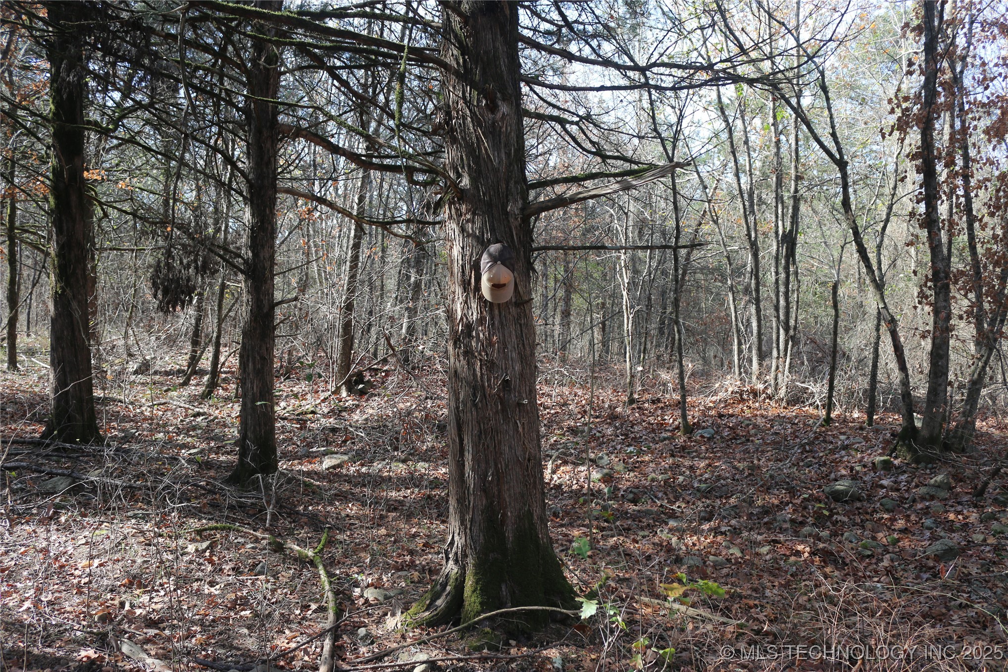 Poteau Mountain Property Photo 27