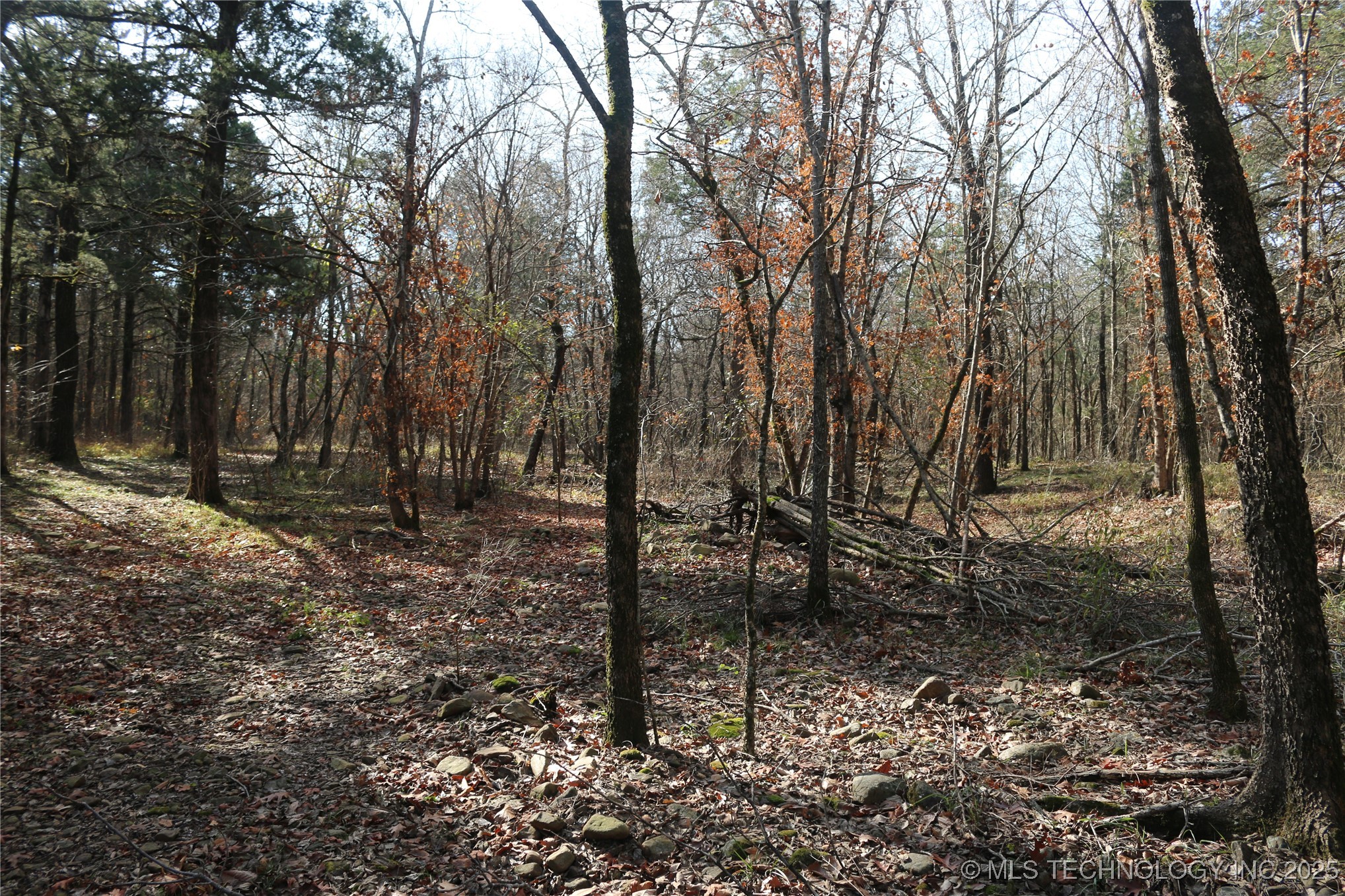 Poteau Mountain Property Photo 28