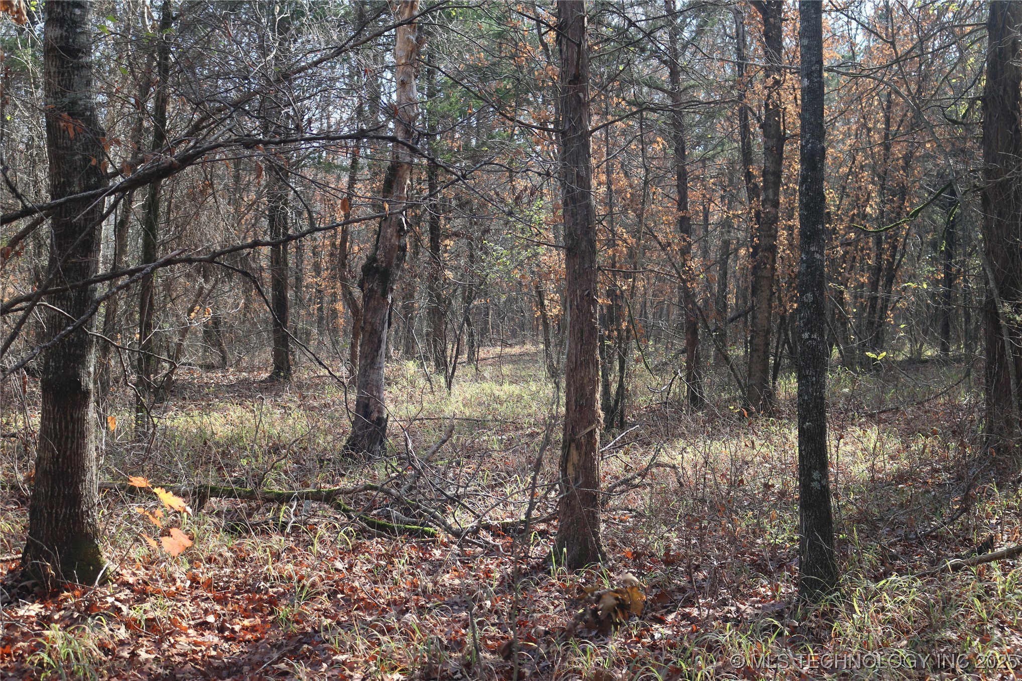 Poteau Mountain Property Photo 29