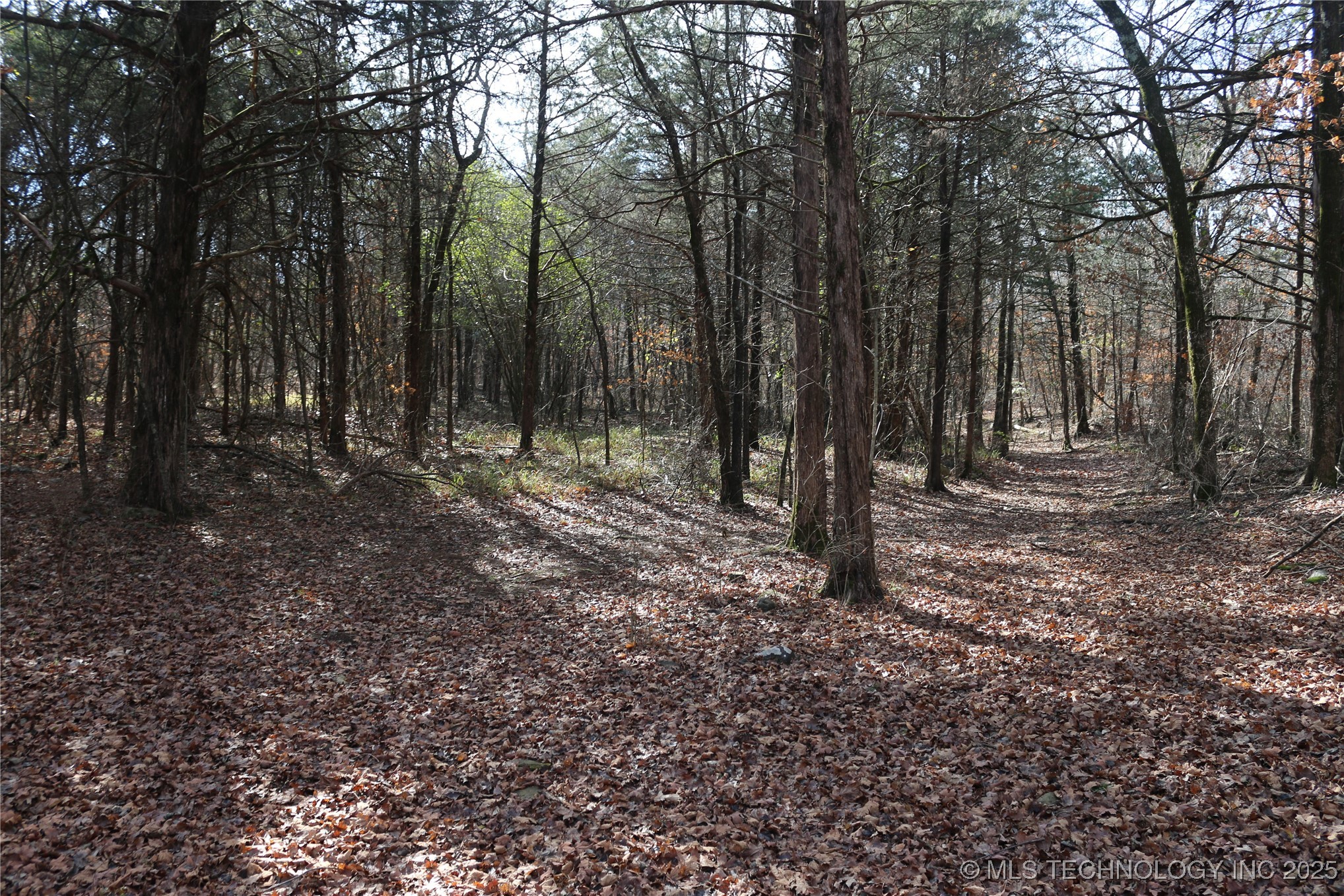 Poteau Mountain Property Photo 30