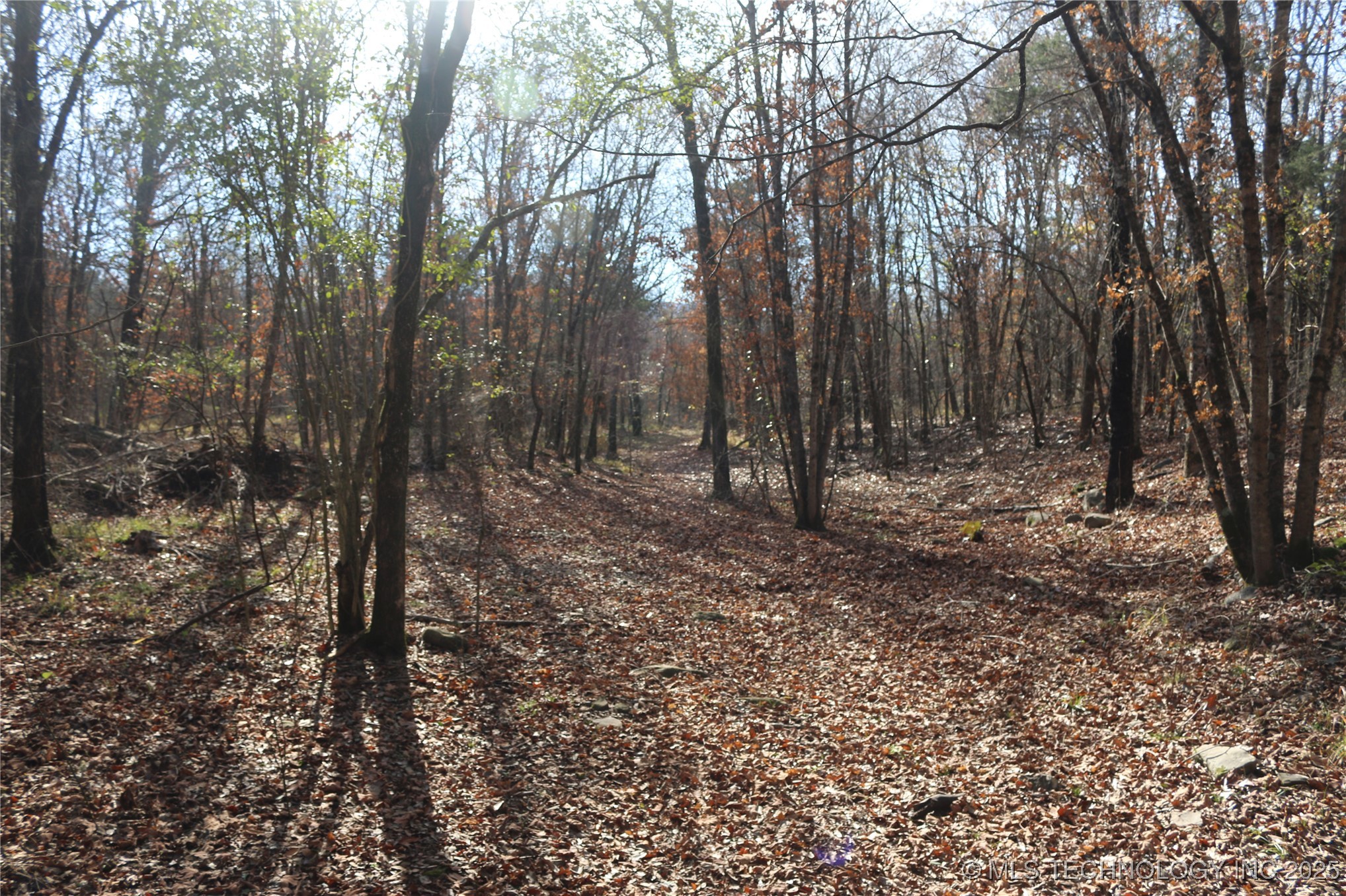 Poteau Mountain Property Photo 31
