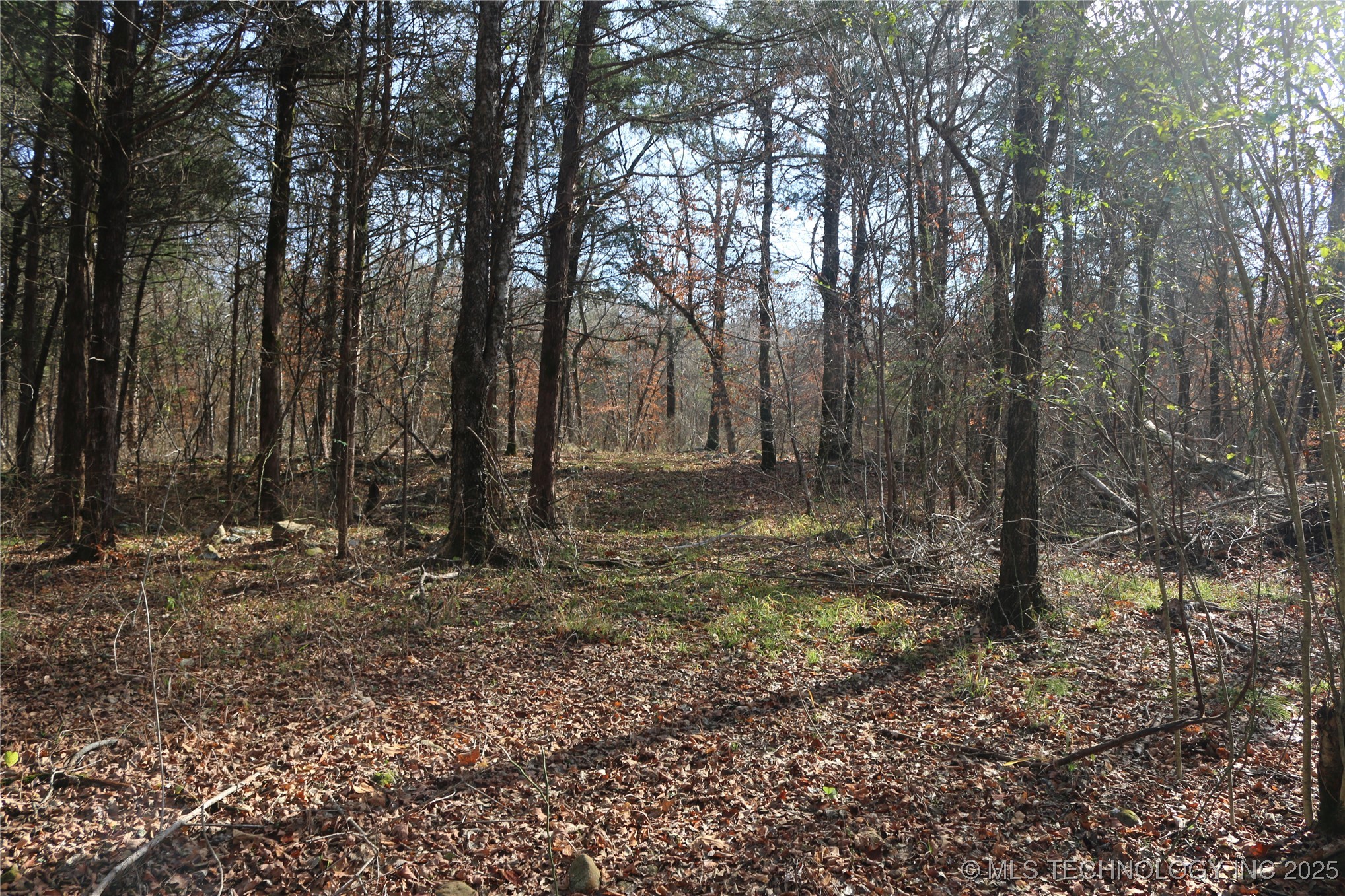 Poteau Mountain Property Photo 32