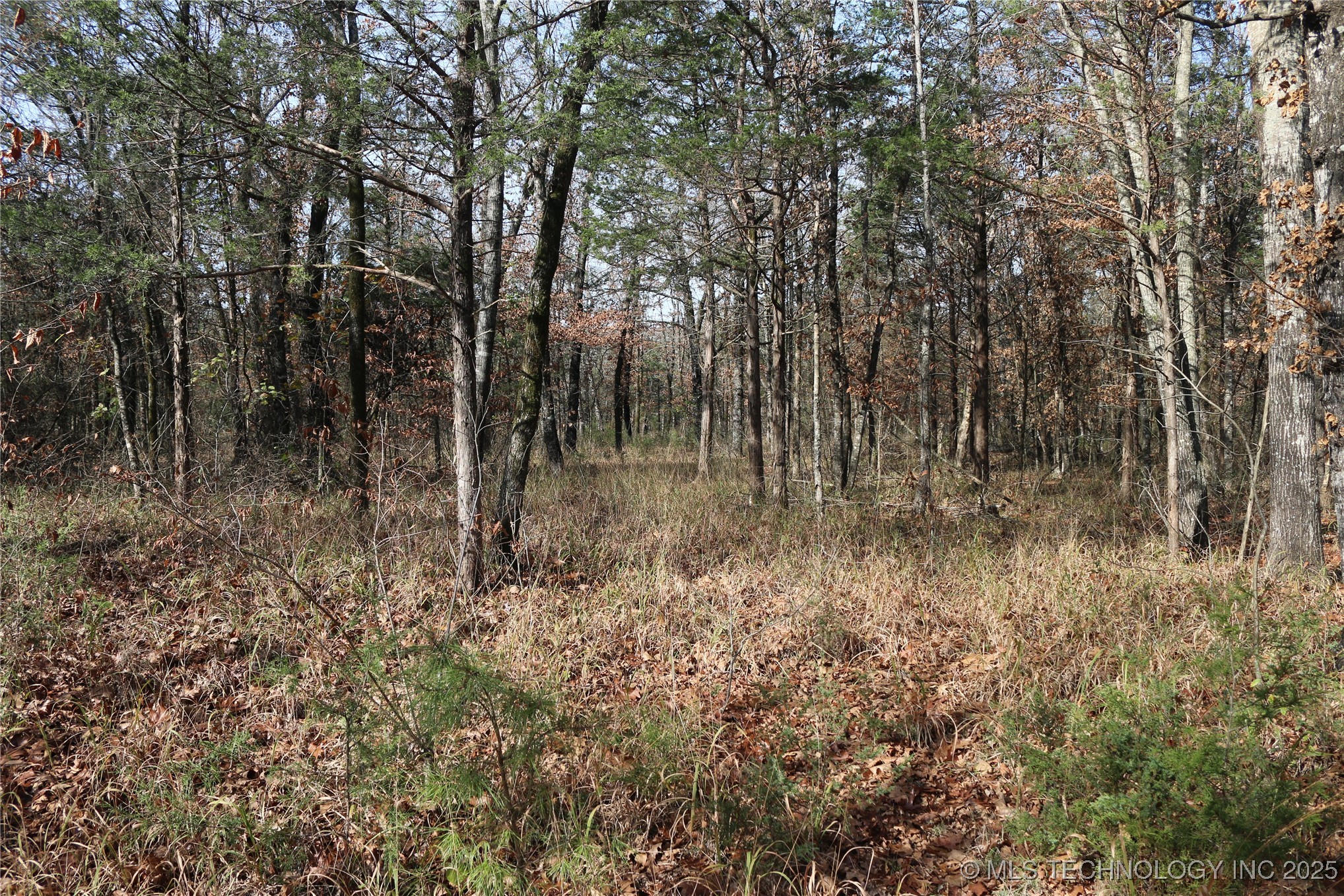 Poteau Mountain Property Photo 33