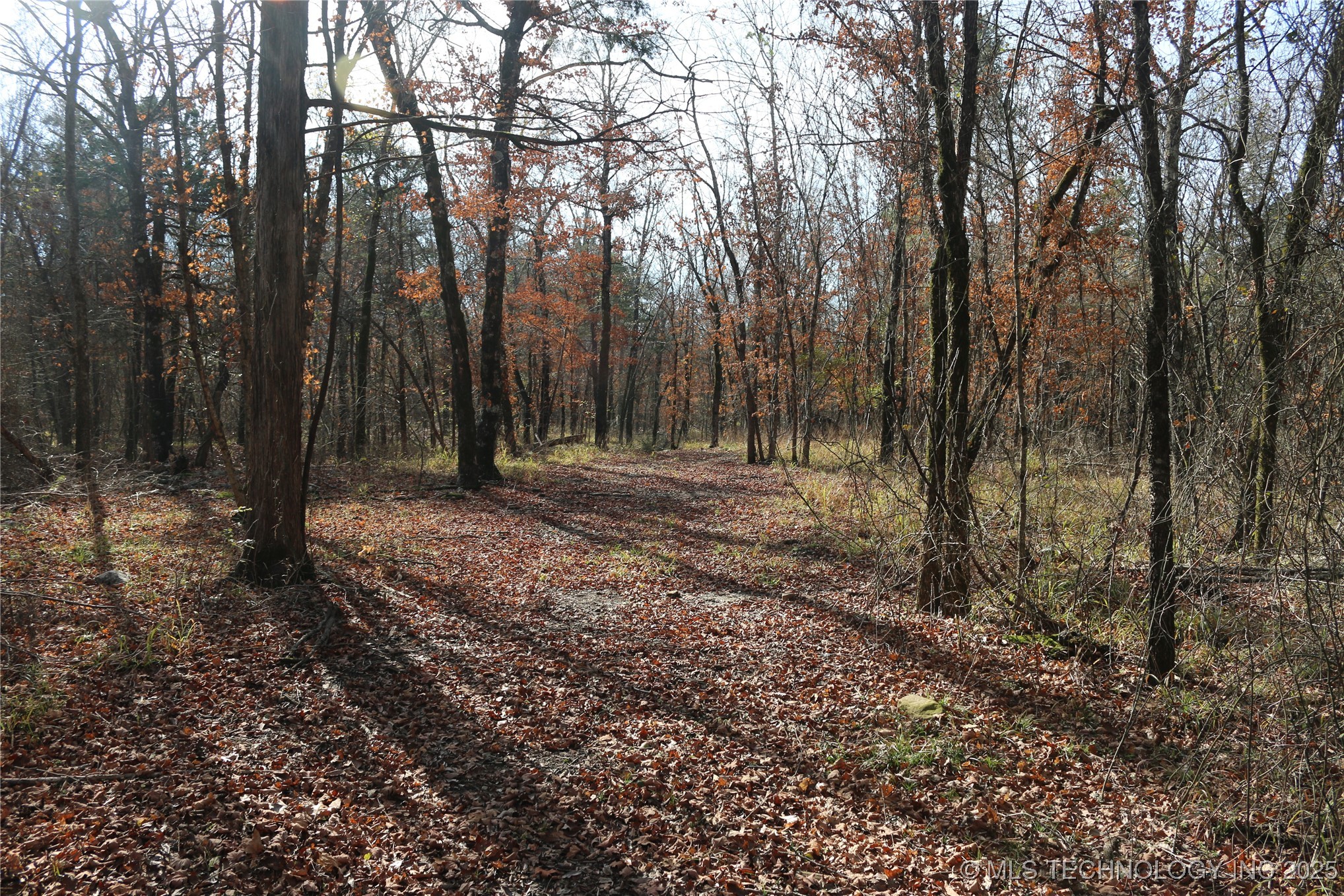 Poteau Mountain Property Photo 34