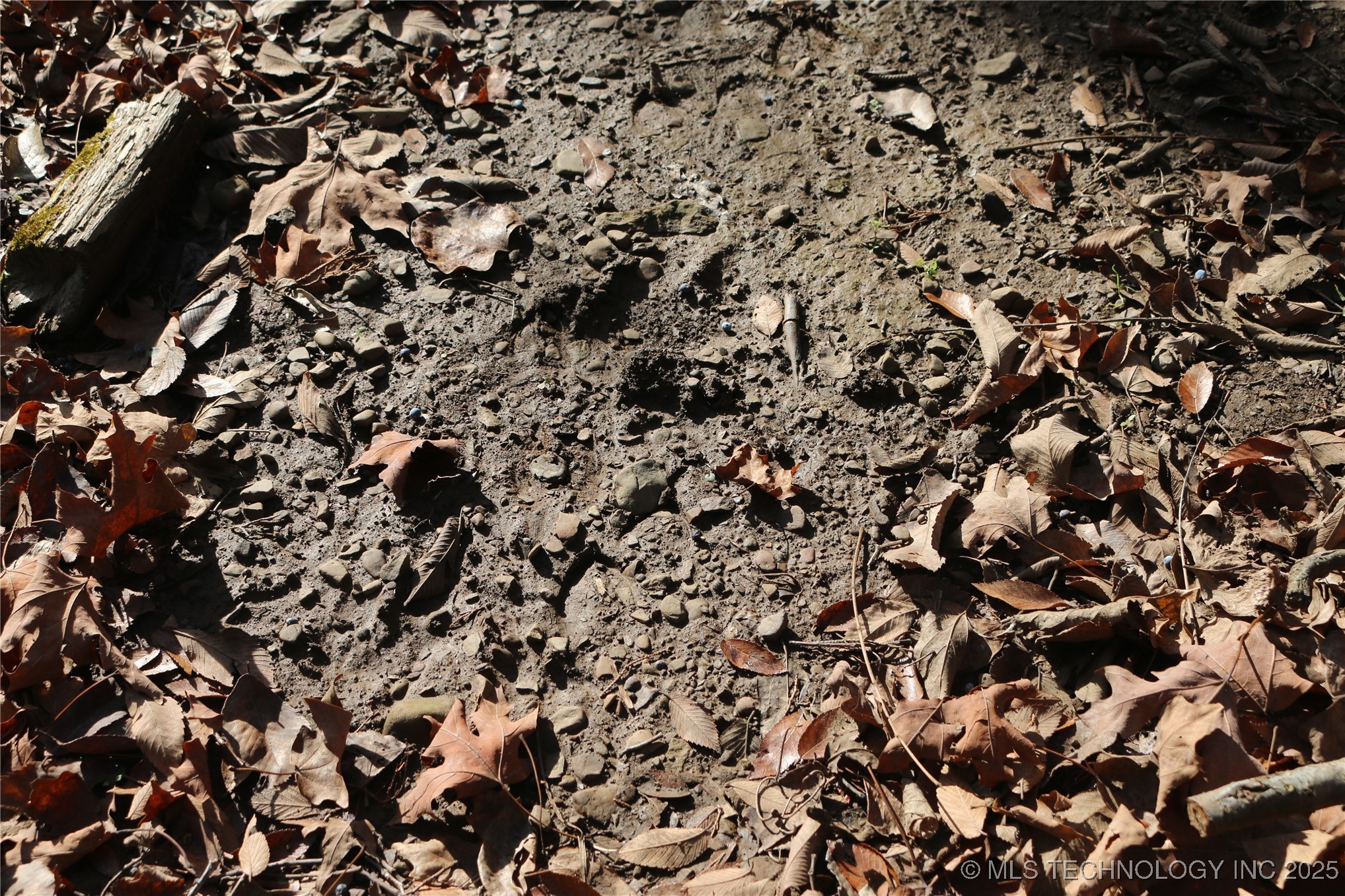 Poteau Mountain Property Photo 35