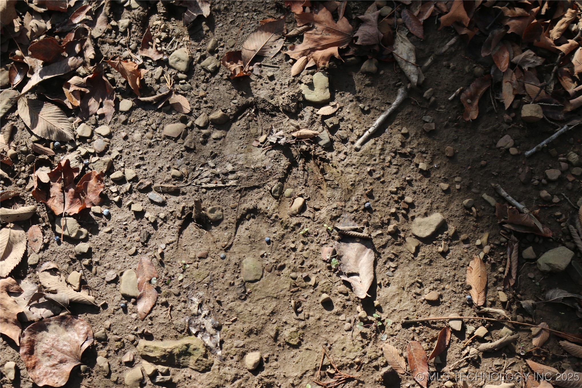 Poteau Mountain Property Photo 36