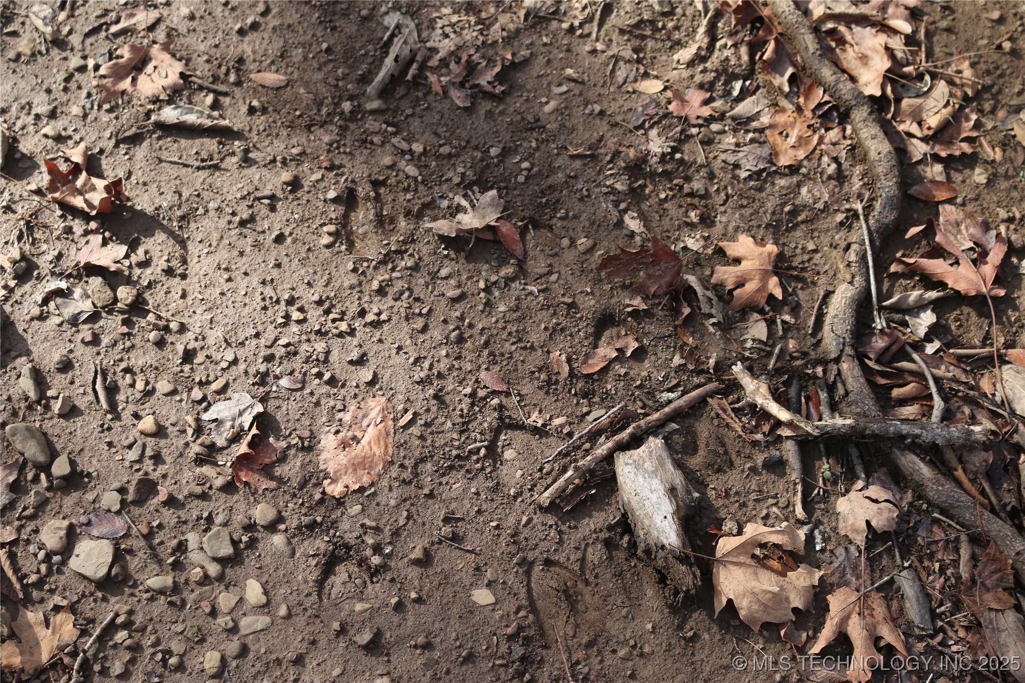 Poteau Mountain Property Photo 37