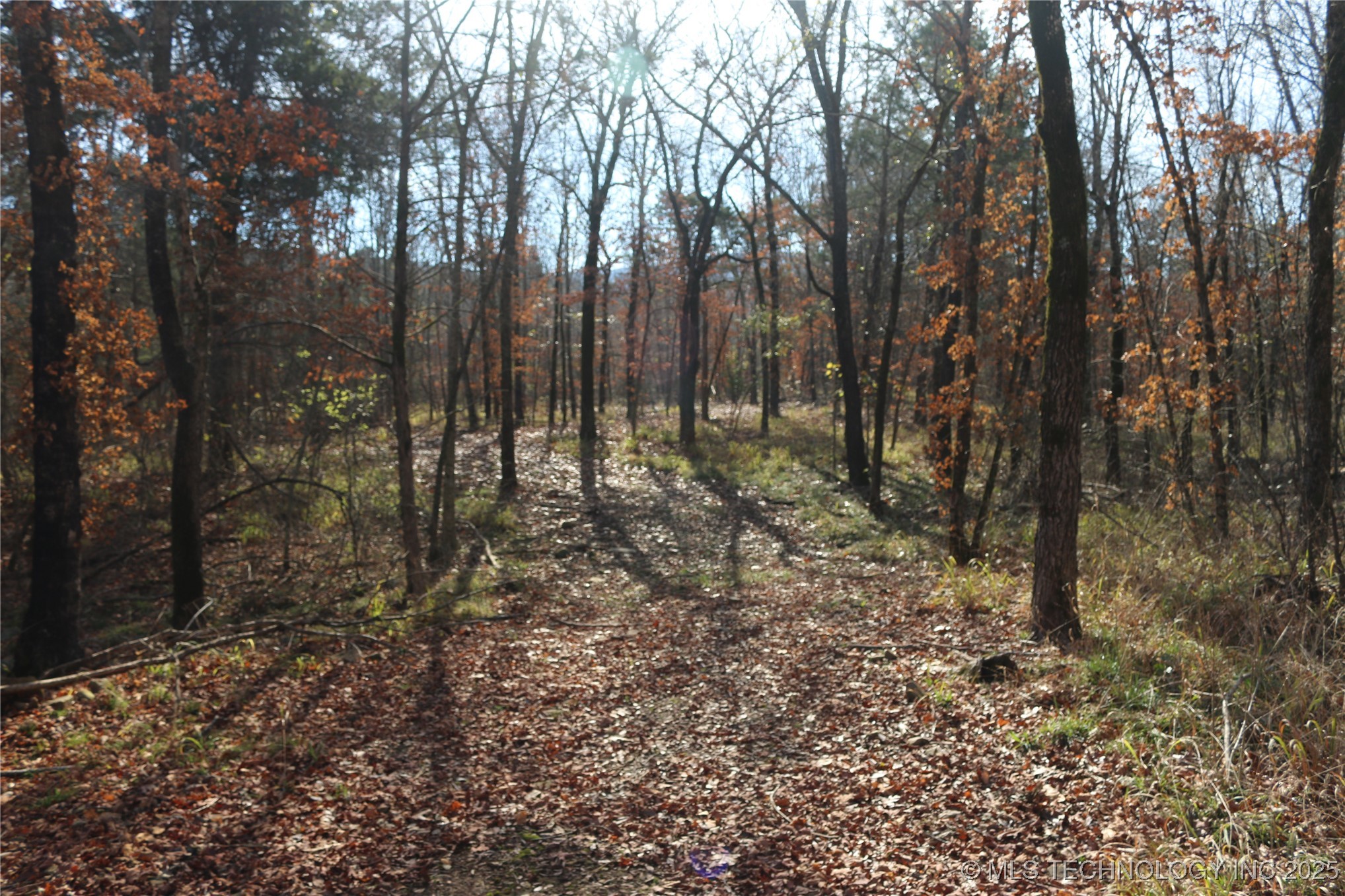 Poteau Mountain Property Photo 38