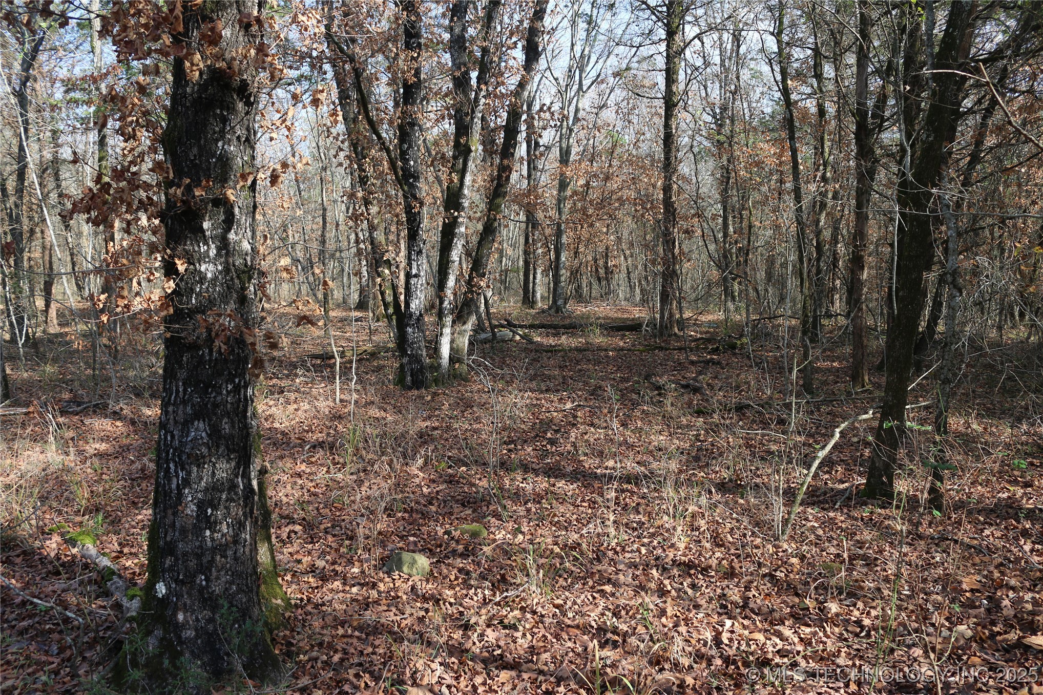 Poteau Mountain Property Photo 39