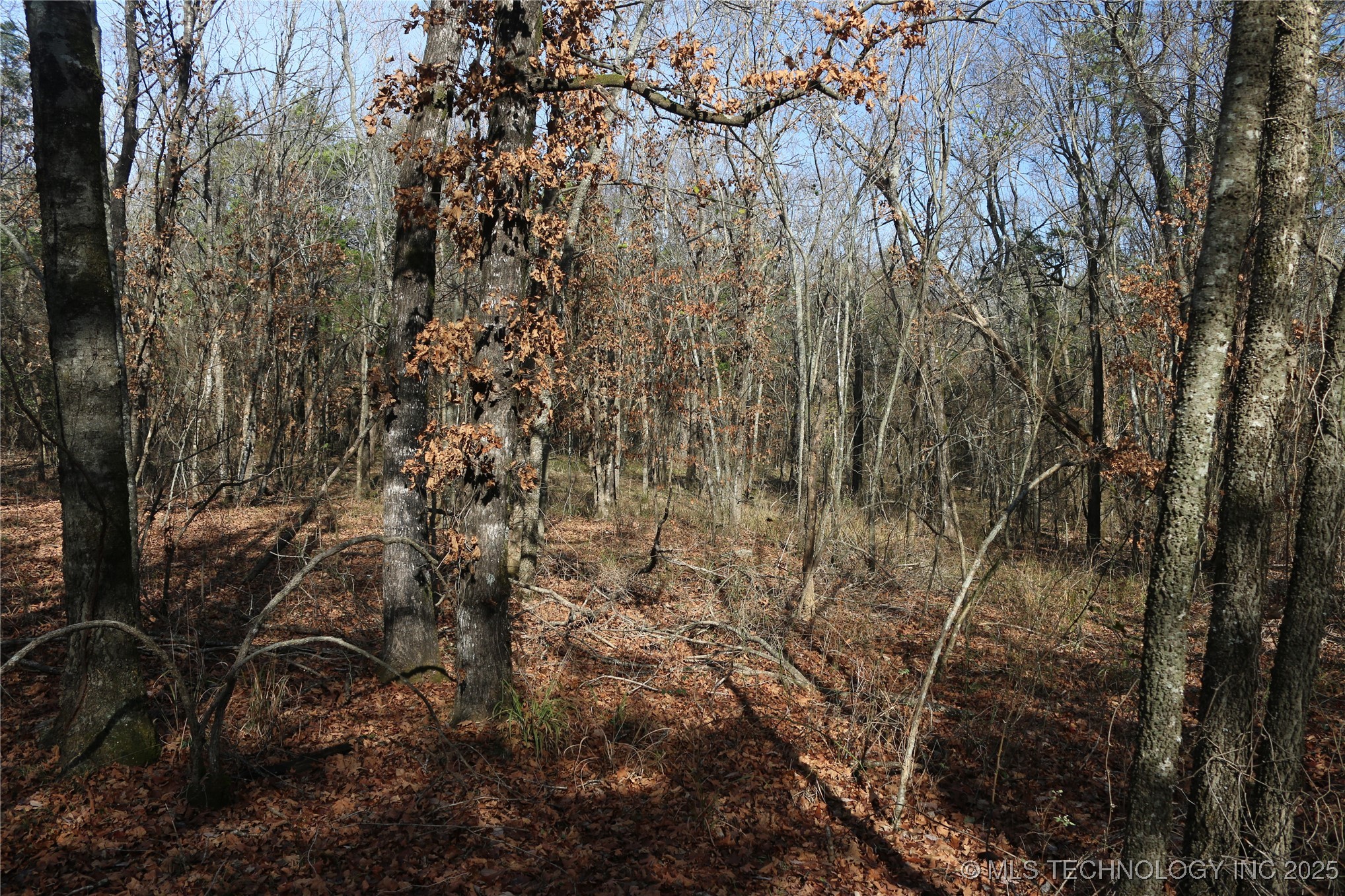 Poteau Mountain Property Photo 40