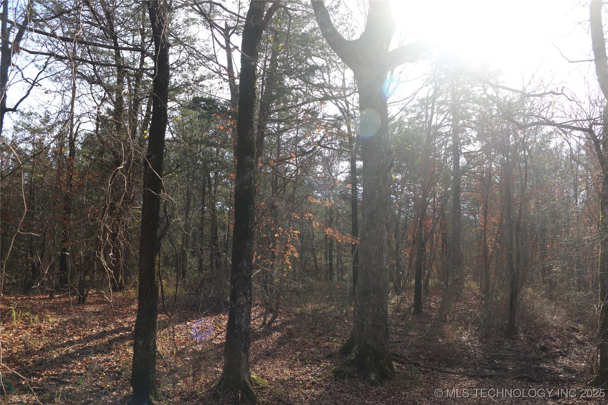 Poteau Mountain Property Photo 41