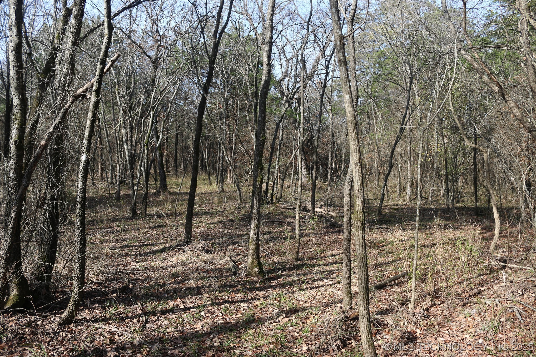 Poteau Mountain Property Photo 42