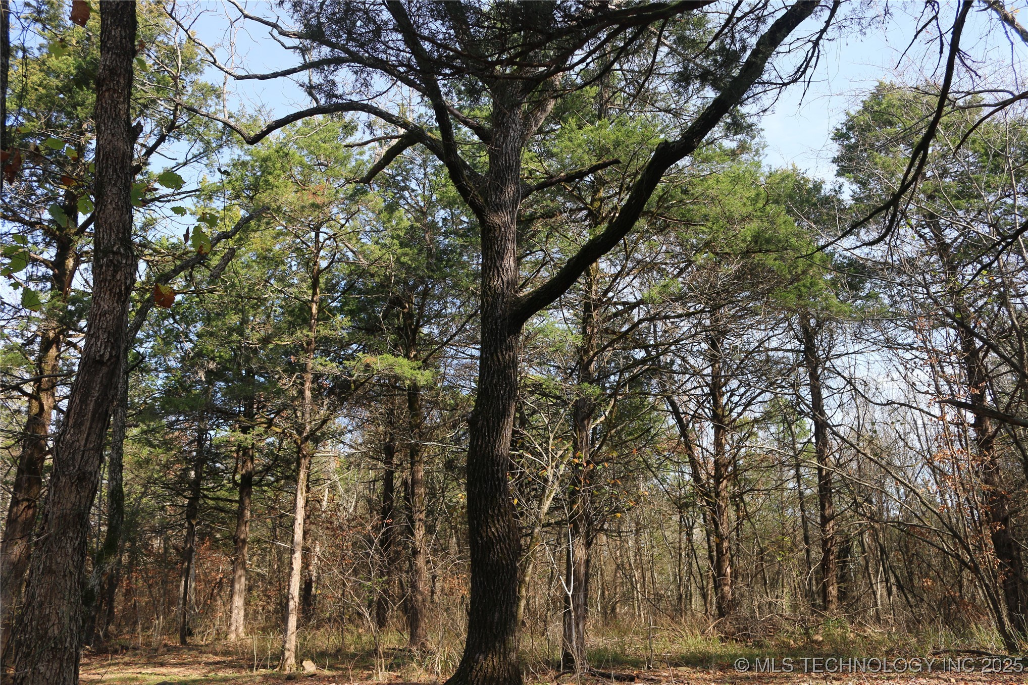 Poteau Mountain Property Photo 43