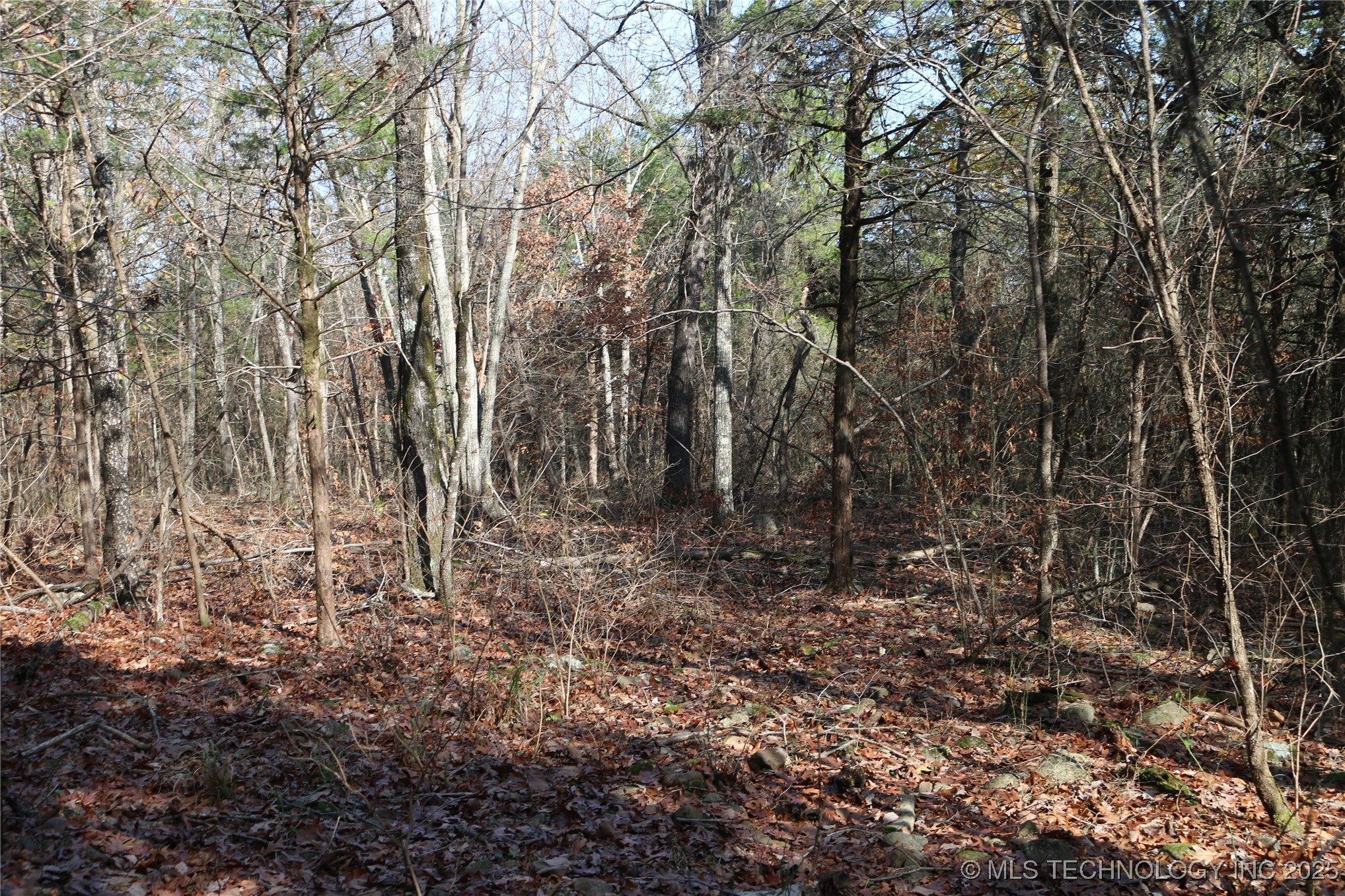 Poteau Mountain Property Photo 44