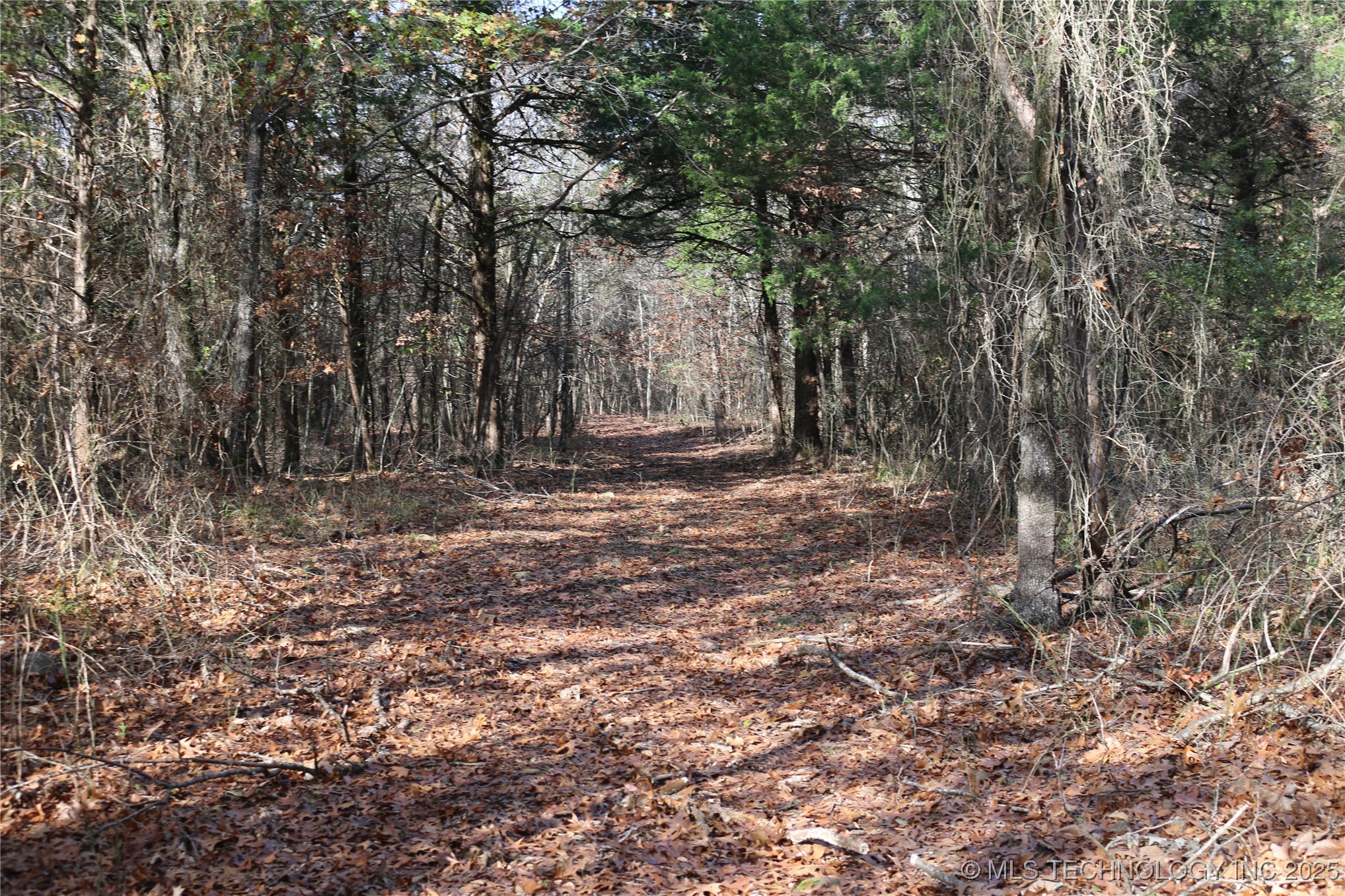 Poteau Mountain Property Photo 45