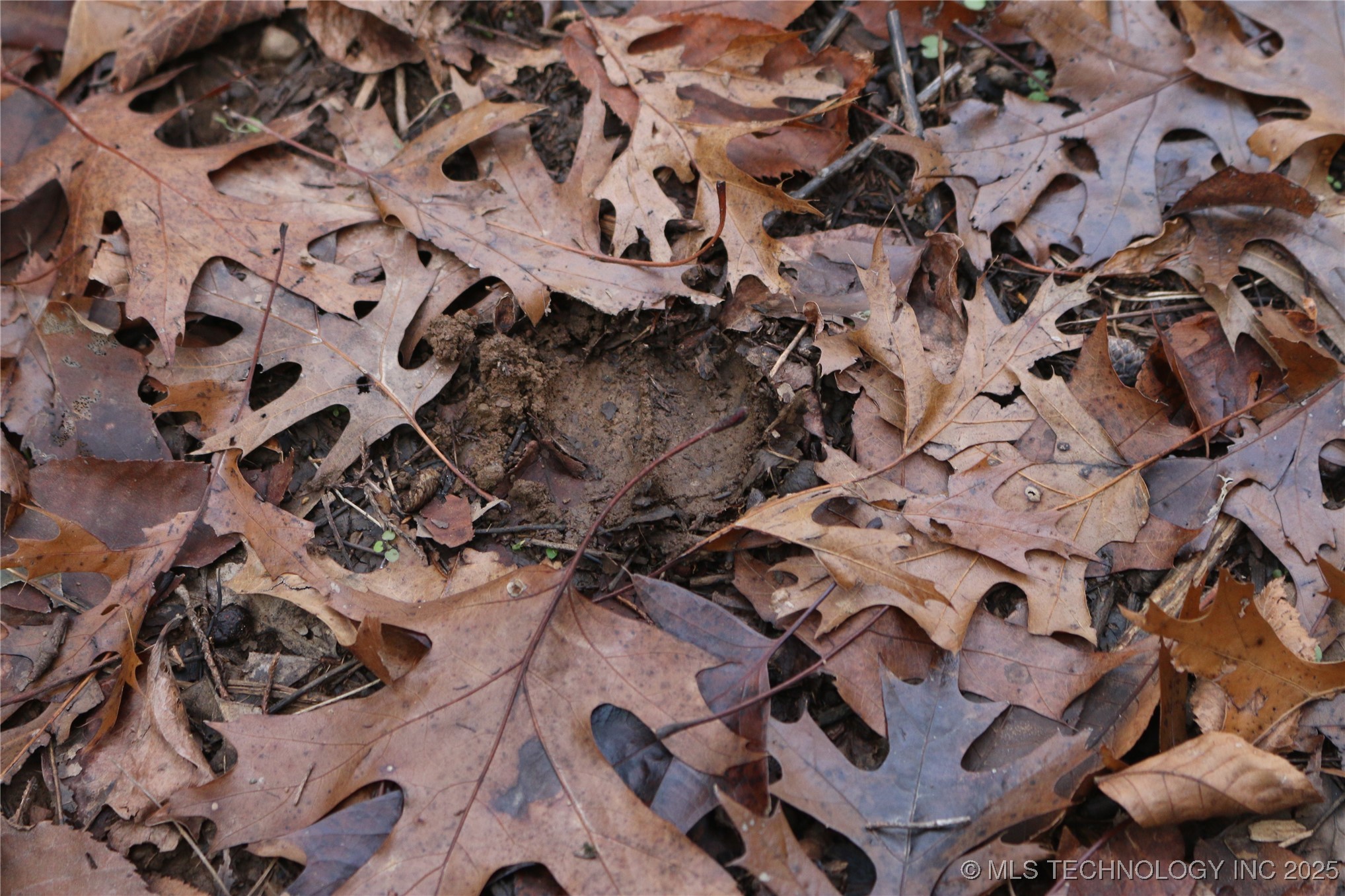 Poteau Mountain Property Photo 46