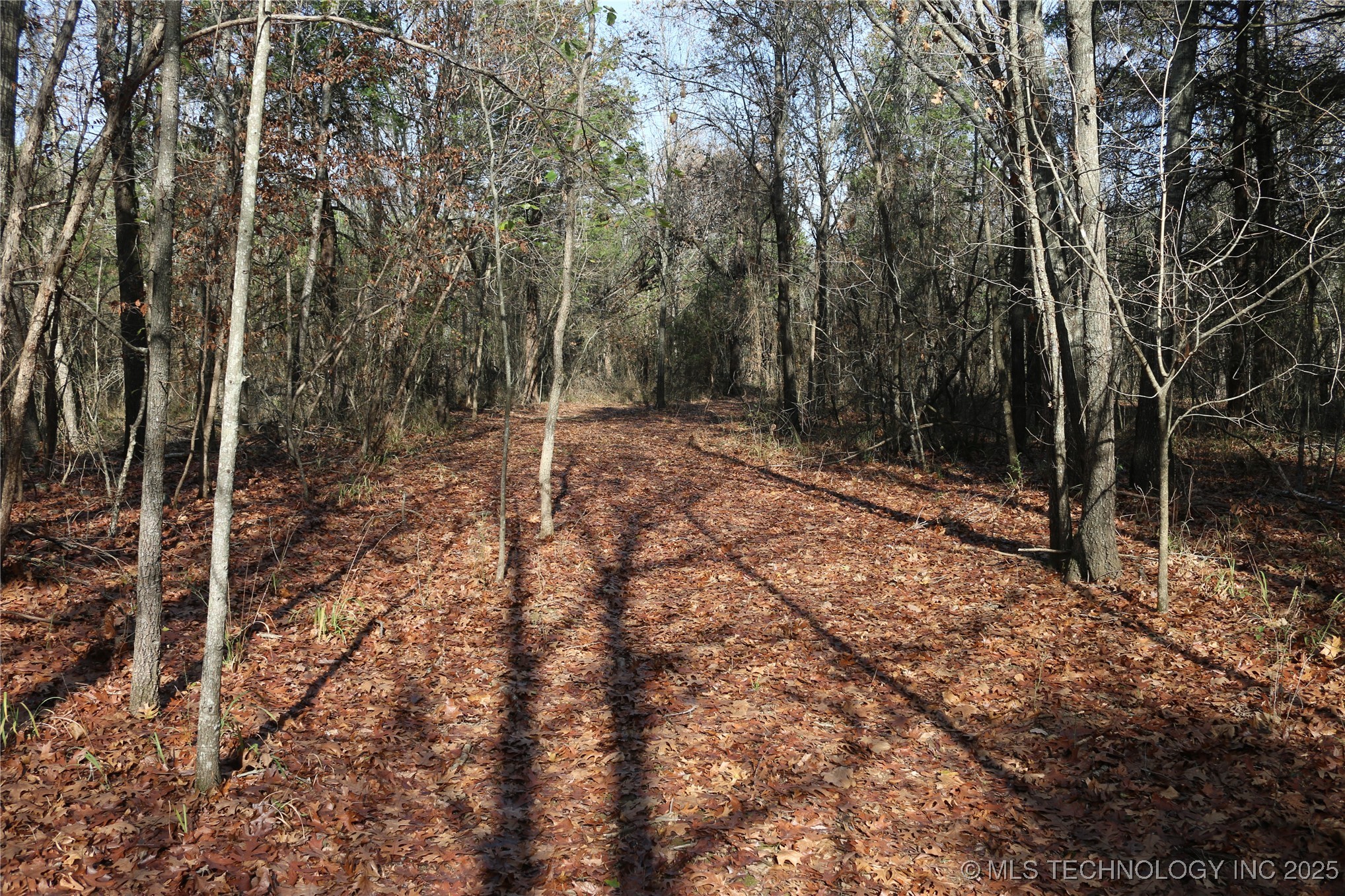 Poteau Mountain Property Photo 47