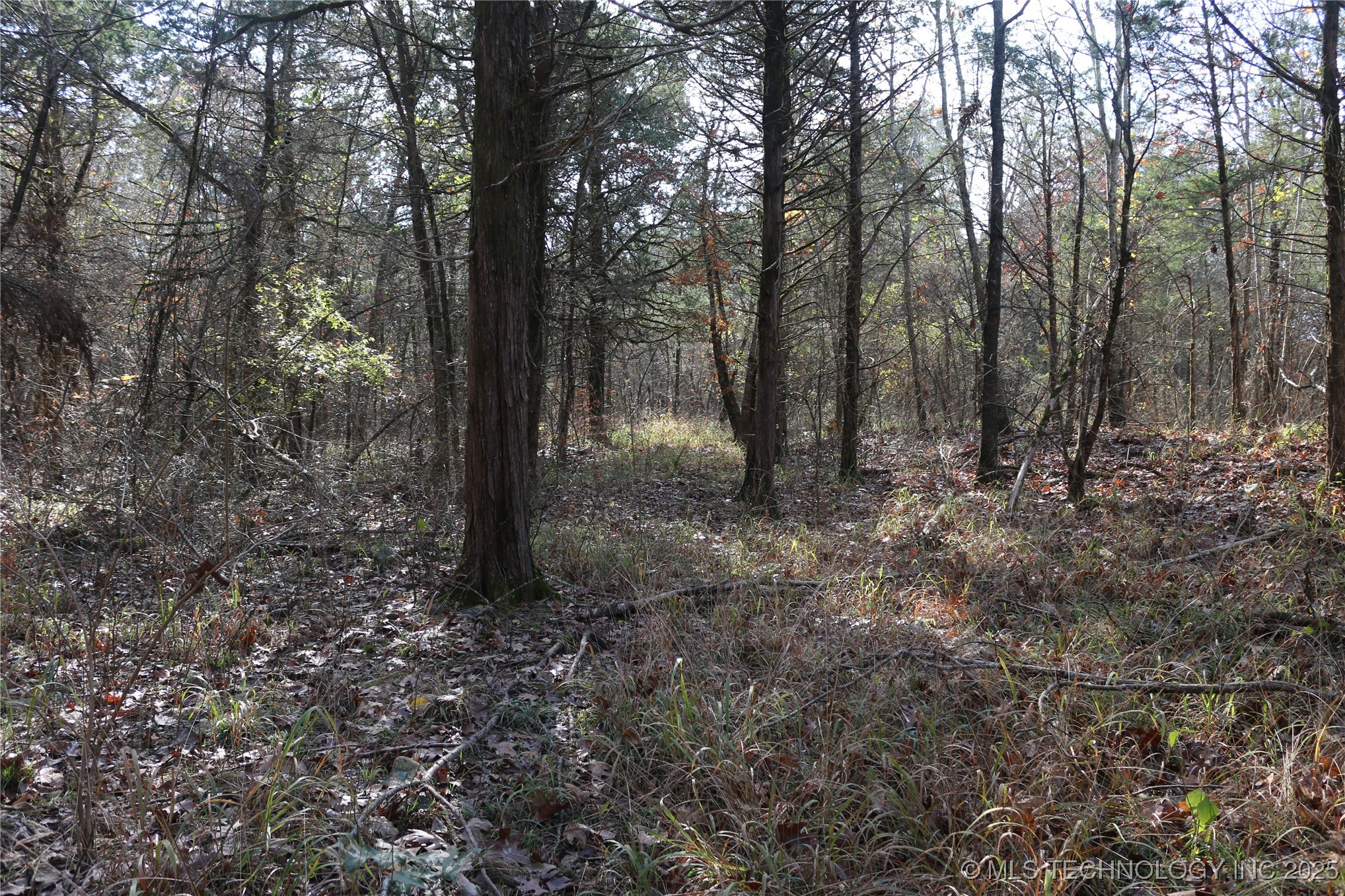 Poteau Mountain Property Photo 48