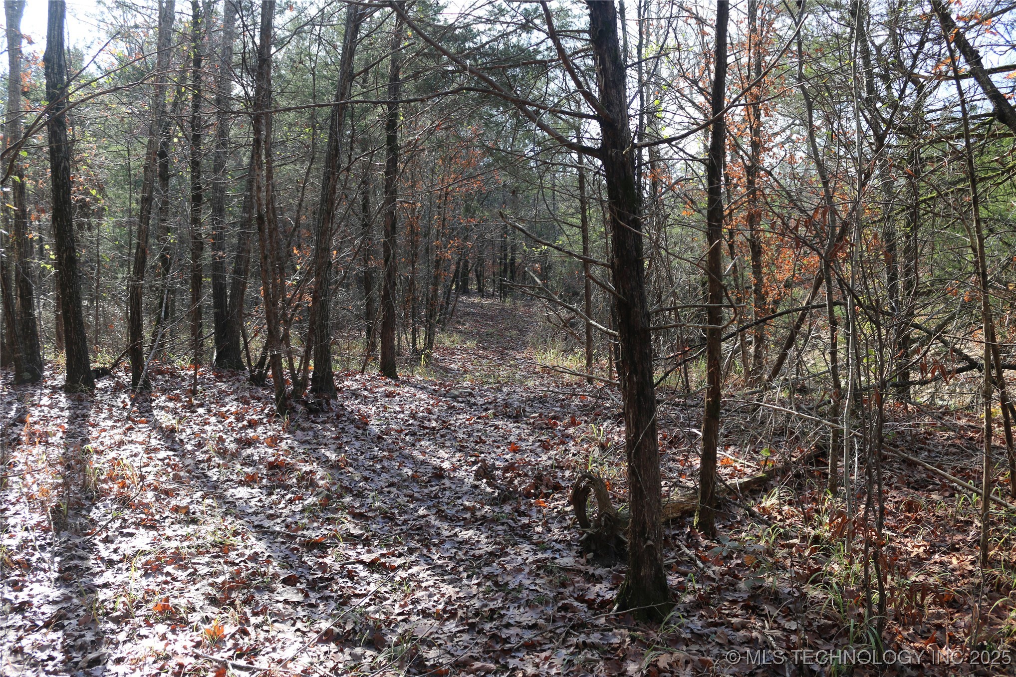 Poteau Mountain Property Photo 49