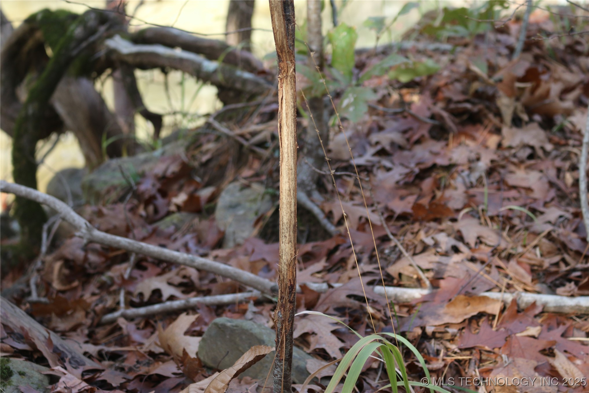 Poteau Mountain Property Photo 52