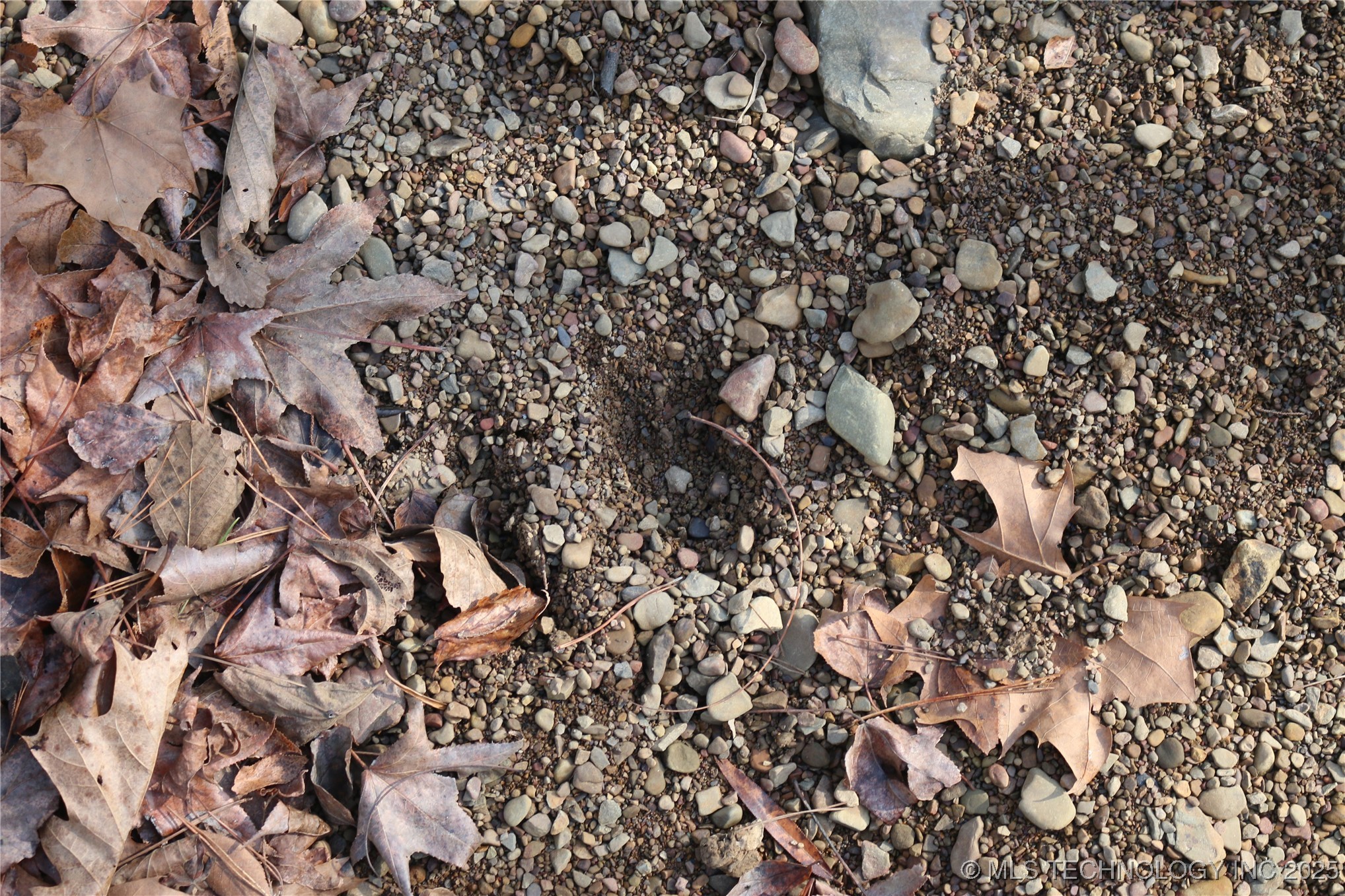 Poteau Mountain Property Photo 56