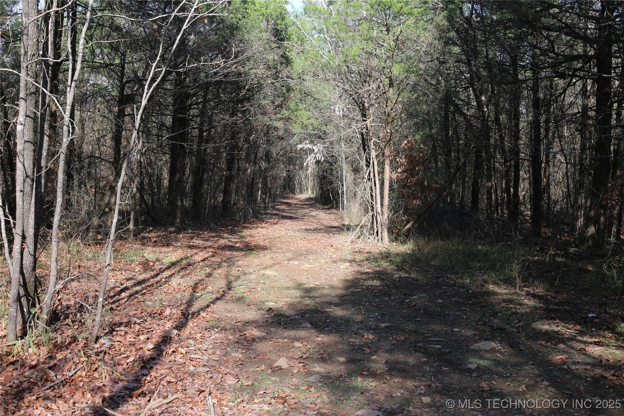Poteau Mountain Property Photo 57