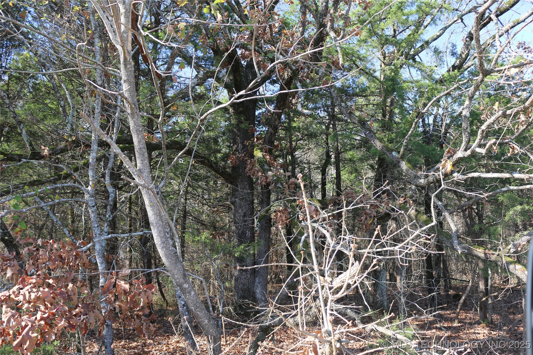 Poteau Mountain Property Photo 59