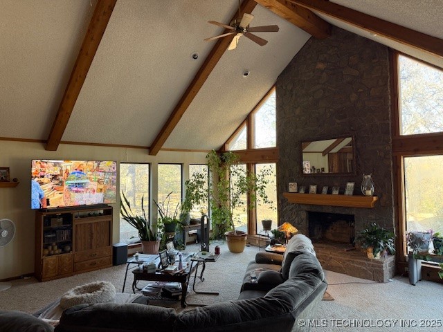 1409 Mesa Property Photo 3