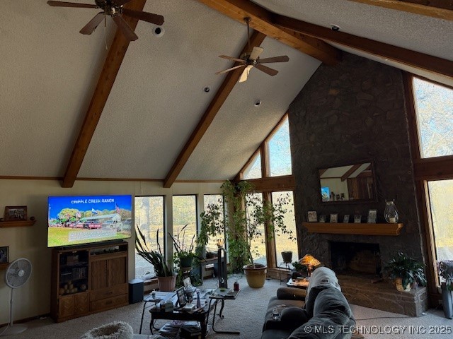 1409 Mesa Property Photo 4