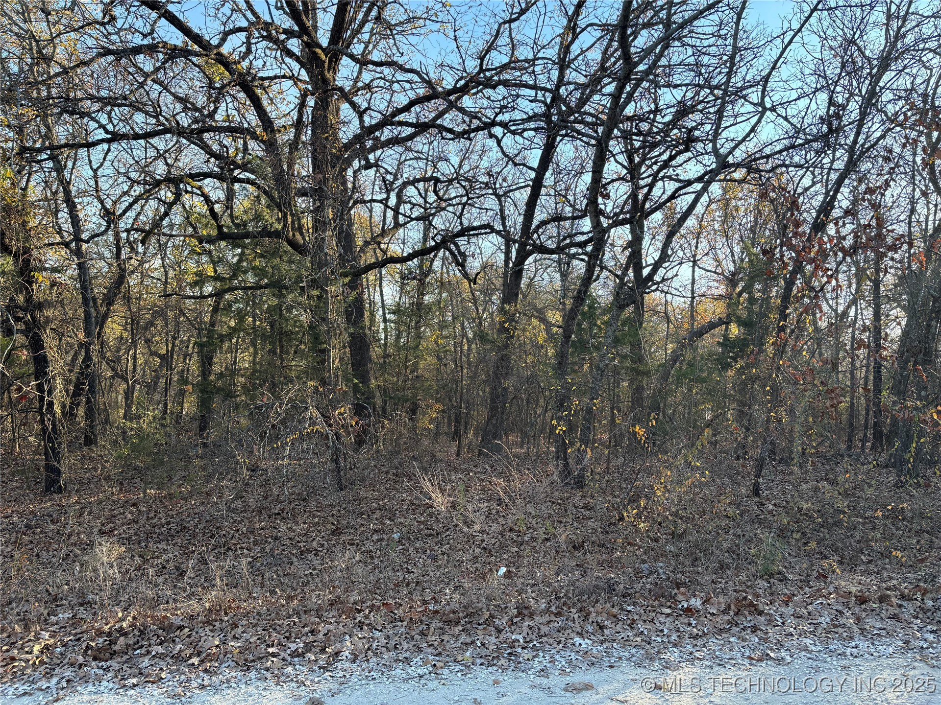 Spruce Property Photo 1