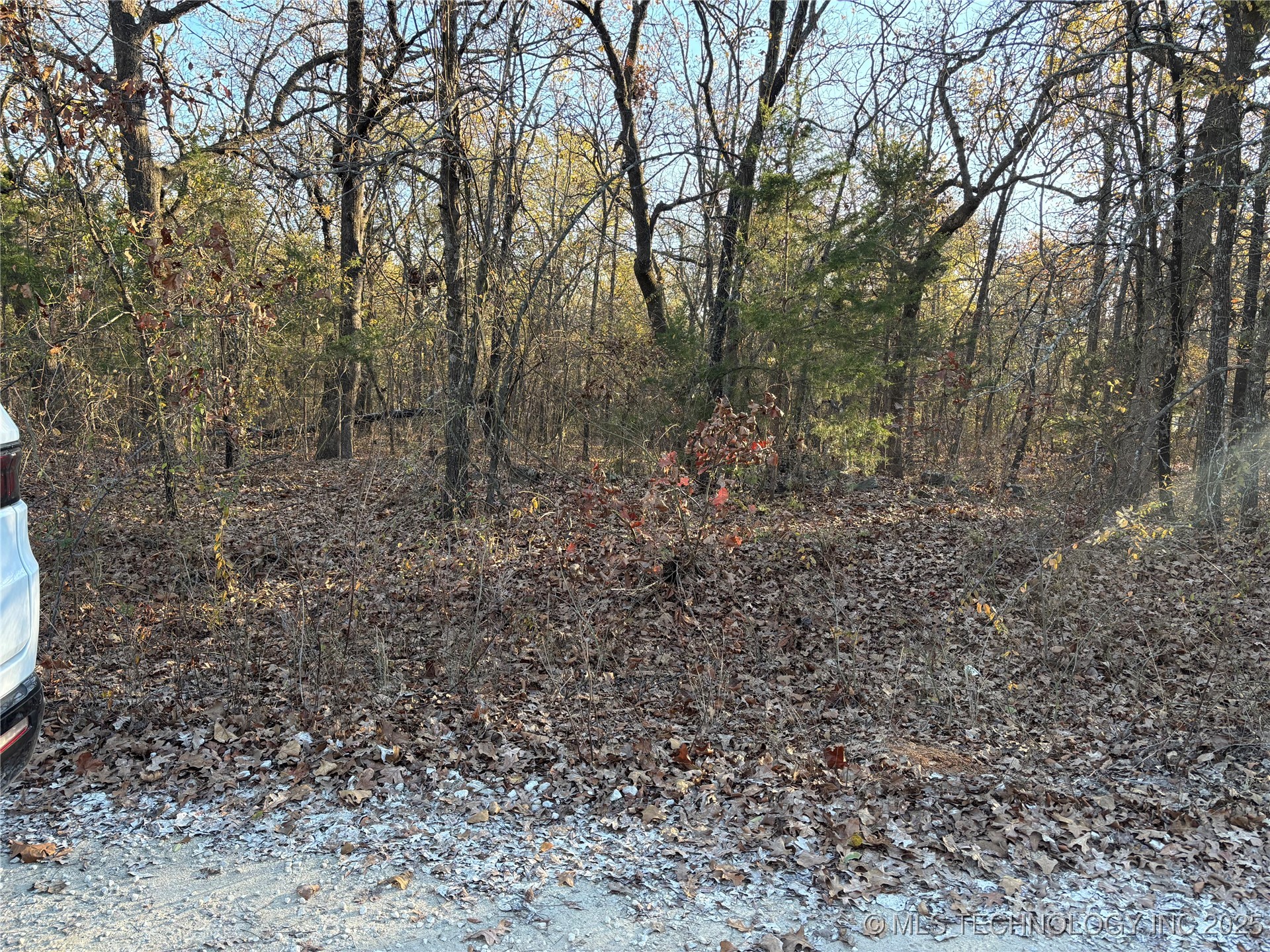 Spruce Property Photo 2