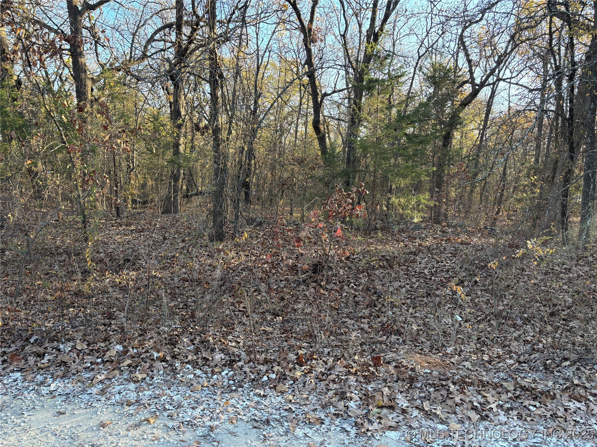 Spruce Property Photo 3