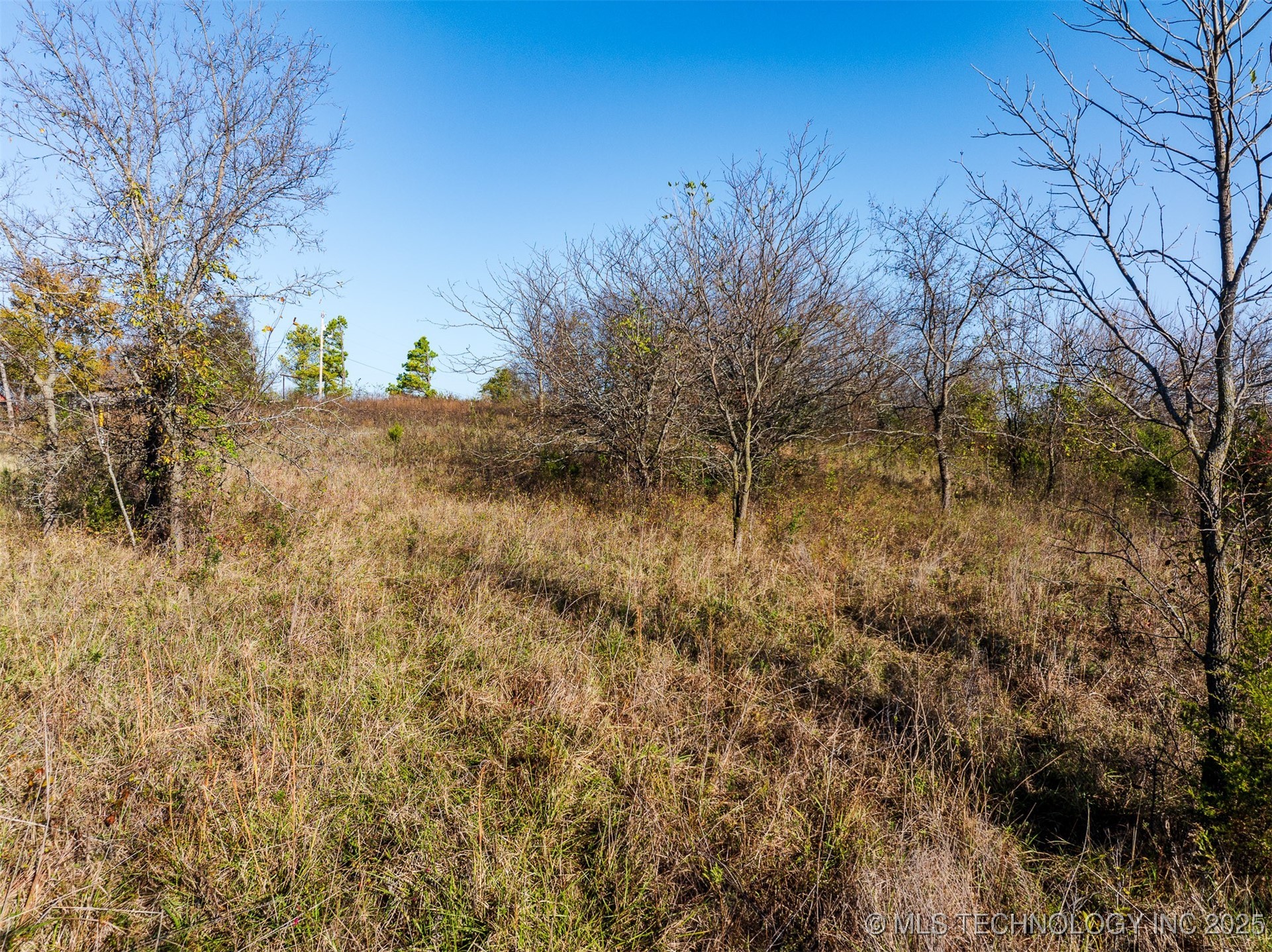 03 W 195th Street S Property Photo 47