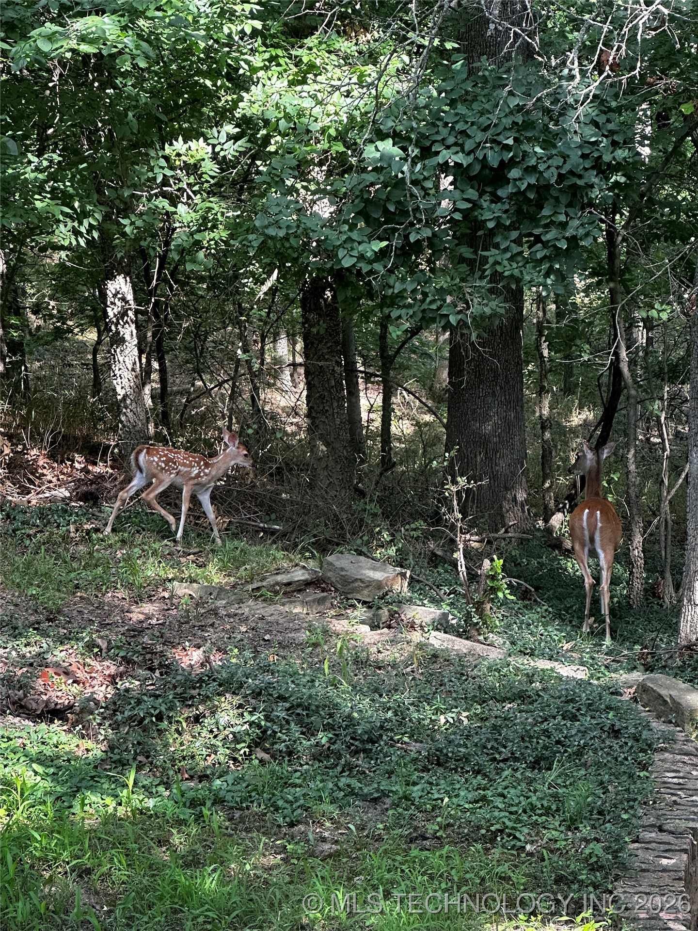 1408 Rockdale Road Property Photo 28