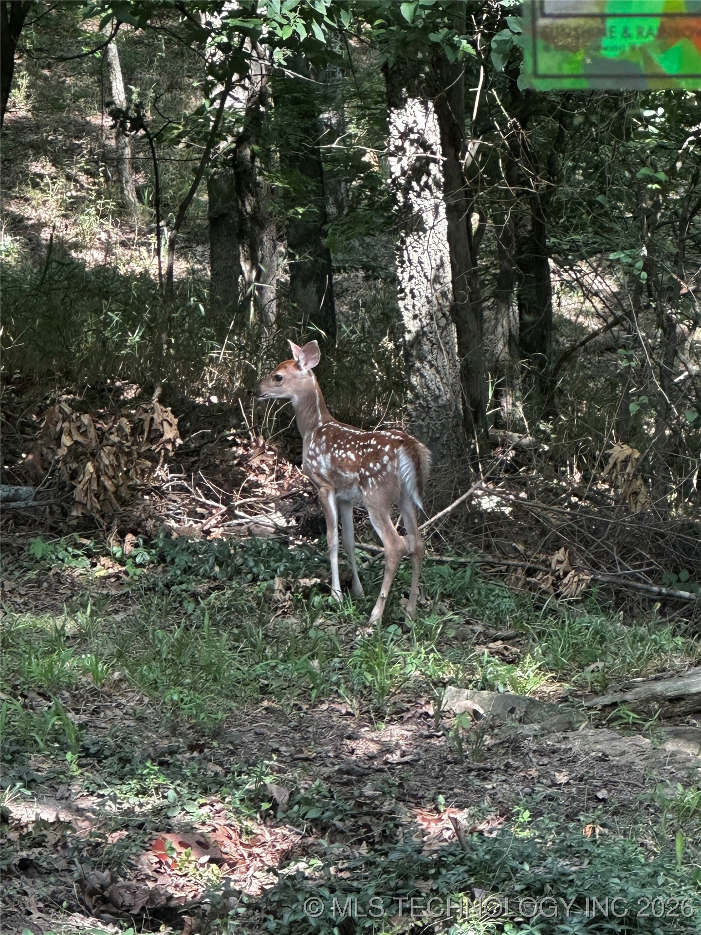1408 Rockdale Road Property Photo 29