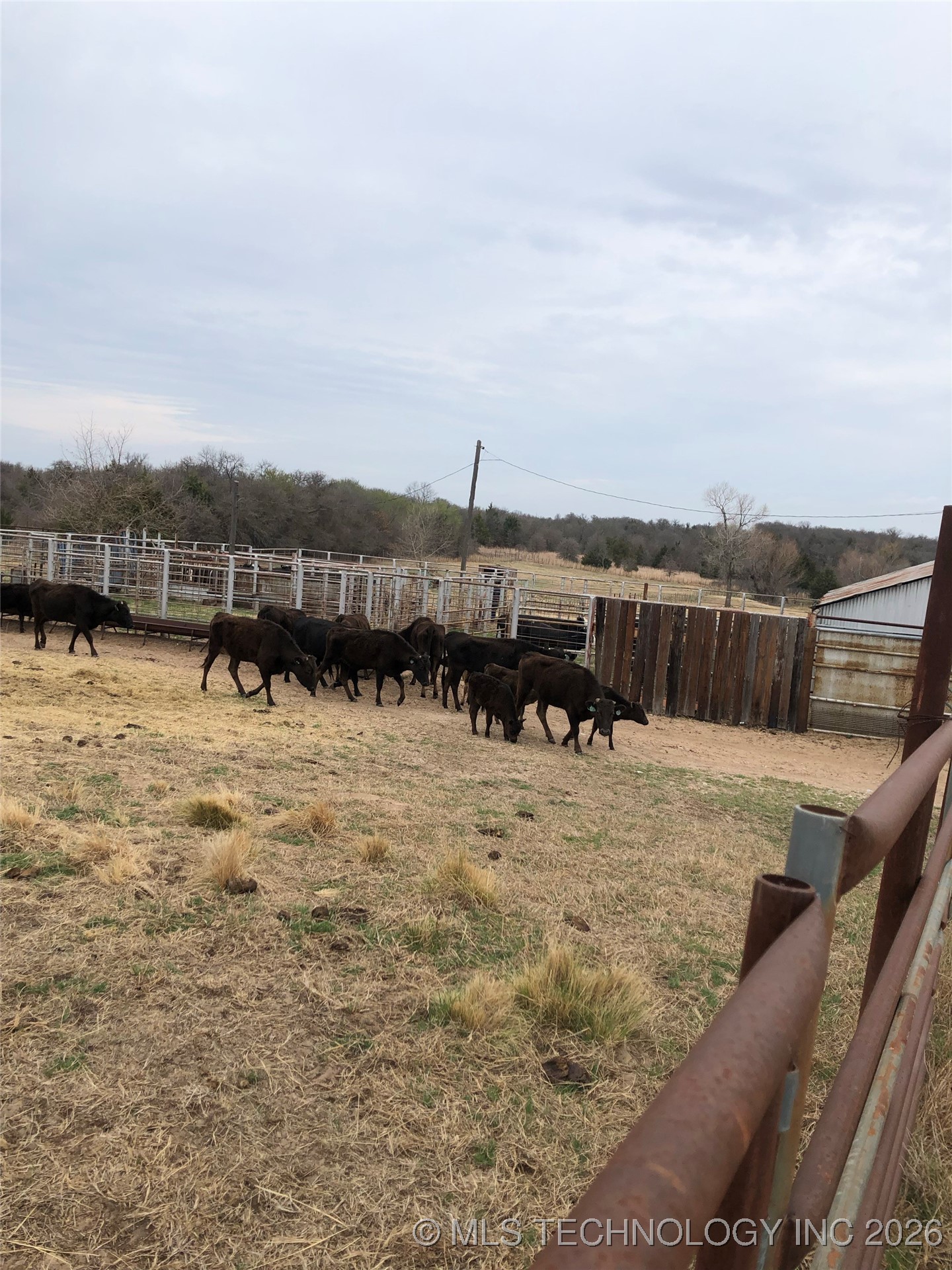 1535 Dillard Property Photo 17